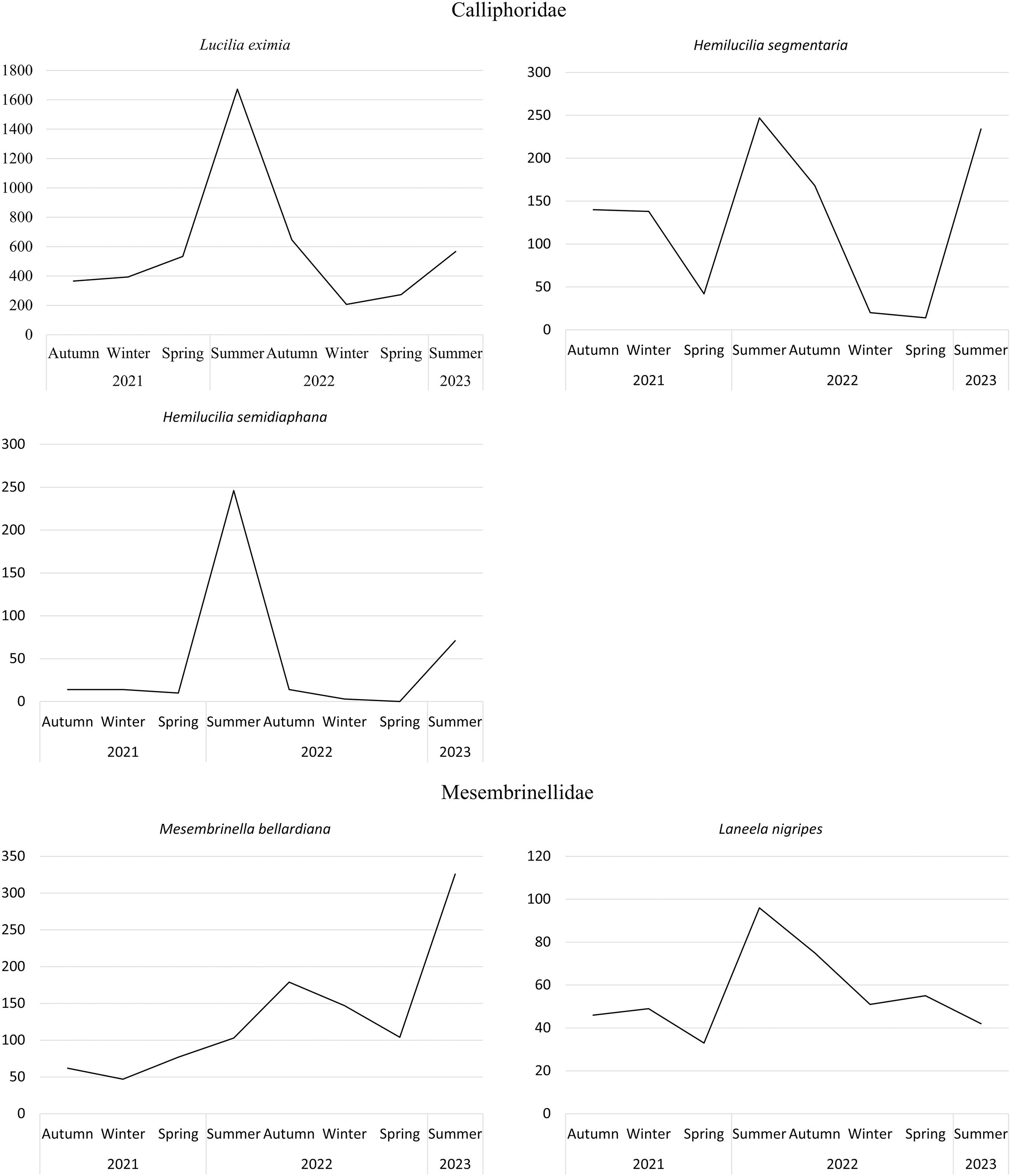 Line graphs display seasonal abundance trends for four species from 2021 to 2023. “Lucilia eximia” shows a peak in summer 2021 and a steady rise in 2023. “Hemilucilia segmentaria” fluctuates, peaking in spring 2023. “Hemilucilia semidiaphana” peaks in spring 2022. “Mesembrinella bellardiana” shows a rise, peaking in summer 2023. “Laneela nigripes” peaks in summer 2022 with moderate fluctuations.