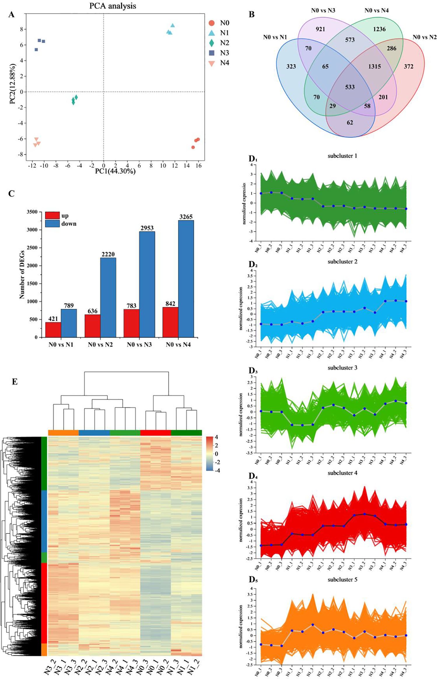 Figure displays multiple charts analyzing gene expression. (A) PCA plot with five sample groups (N0 to N4) shown in different shapes and colors. (B) Venn diagram comparing DEGs across sample groups. (C) Bar graph showing numbers of upregulated and downregulated DEGs for each comparison. (D1-D5) Line graphs displaying normalized expression in five subclusters. (E) Heatmap with hierarchical clustering, illustrating expression levels across samples from -4 to 4.
