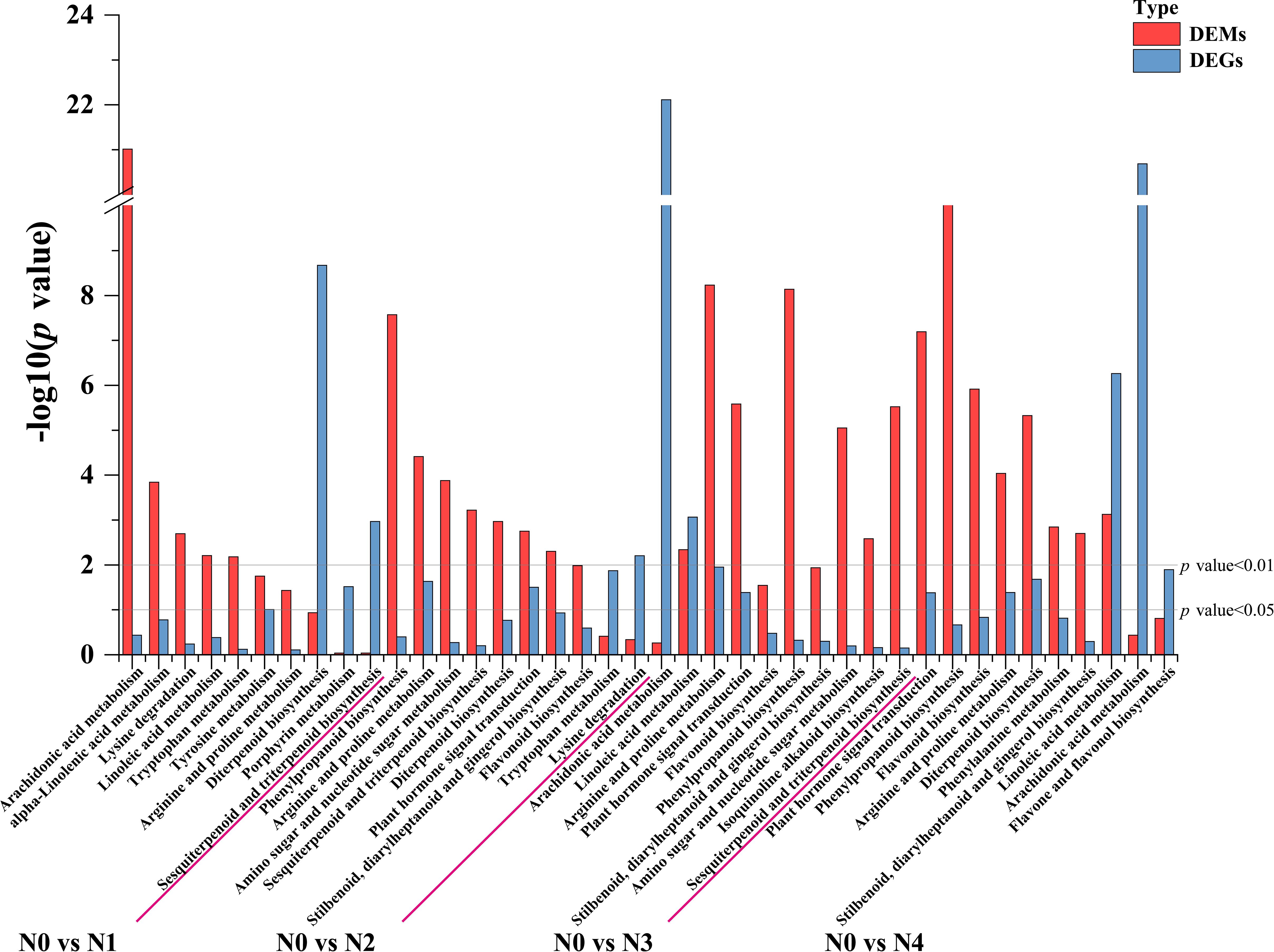 Bar chart comparing gene (red bars) and meta (blue bars) data across four comparisons: N0 vs N1, N0 vs N2, N0 vs N3, and N0 vs N4. The y-axis represents the negative logarithm of p-values. Two horizontal lines indicate significance thresholds of p-value less than 0.01 and 0.05. The x-axis labels various metabolic processes.