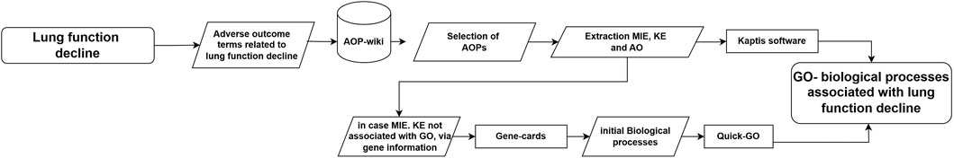 Flowchart illustrating the workflow process to identify Gene Ontology Biological Processes associated with lung function decline. First, it involves the exploration of AOP-wiki for selecting and extracting AOPs, MIE, KE(s), and AO. Next, associated GO terms are retrieved using Wiki Kaptis. If the MIE and KE(s) are not directly linked with GO Biological Processes, available gene name information is used as input in GeneCards to retrieve Gene Ontology information. Next, this information is used to extract the primary GO and child GO terms from the QuickGo database.