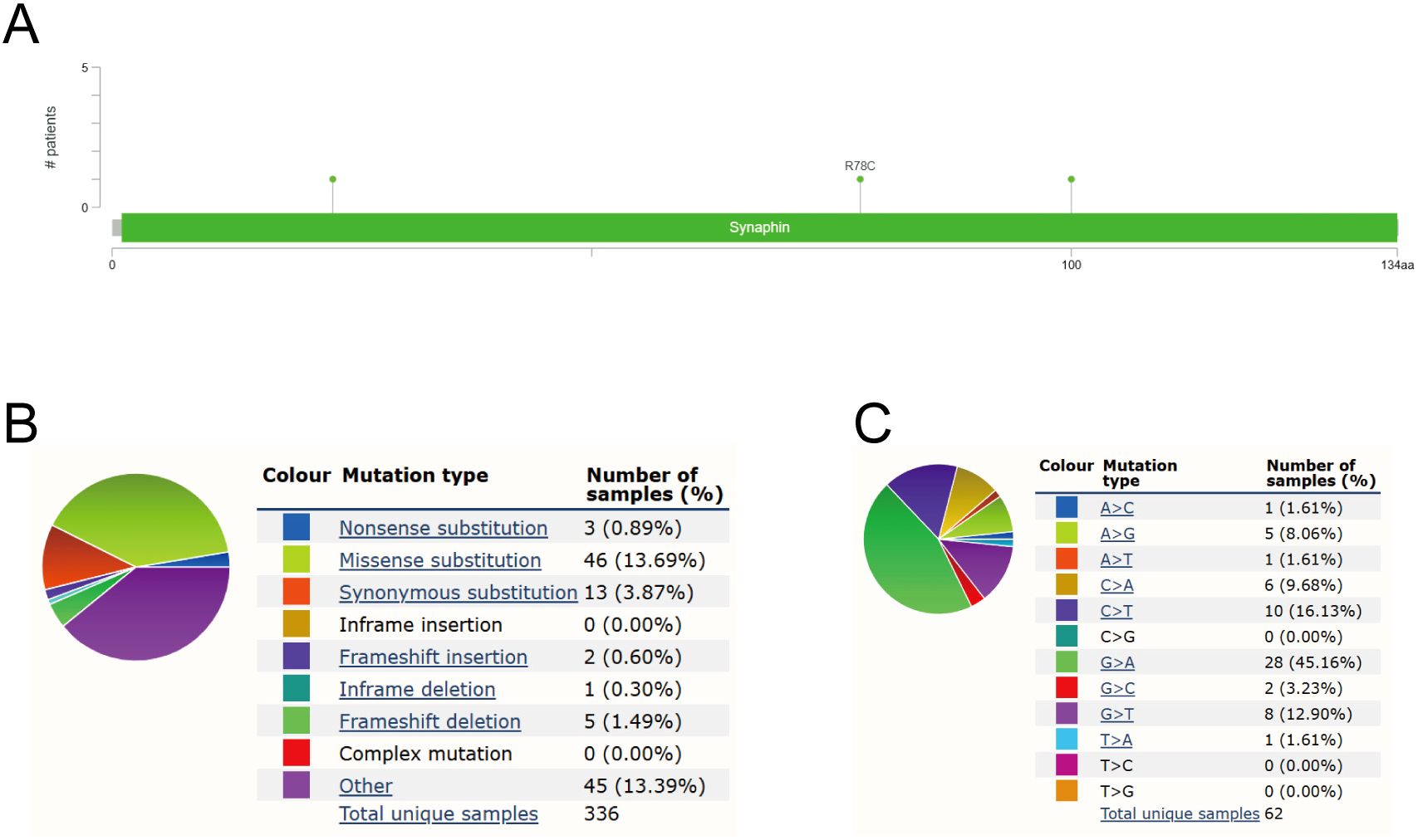 Panel A shows a bar chart indicating the Synphilin protein structure with mutation R78C affecting a small number of patients. Panel B includes a pie chart and table detailing mutation types in 336 samples, highlighting missense substitutions at 13.69%. Panel C presents another pie chart and table, showing nucleotide changes in 62 samples, with C>T substitutions as the most common at 16.13%.