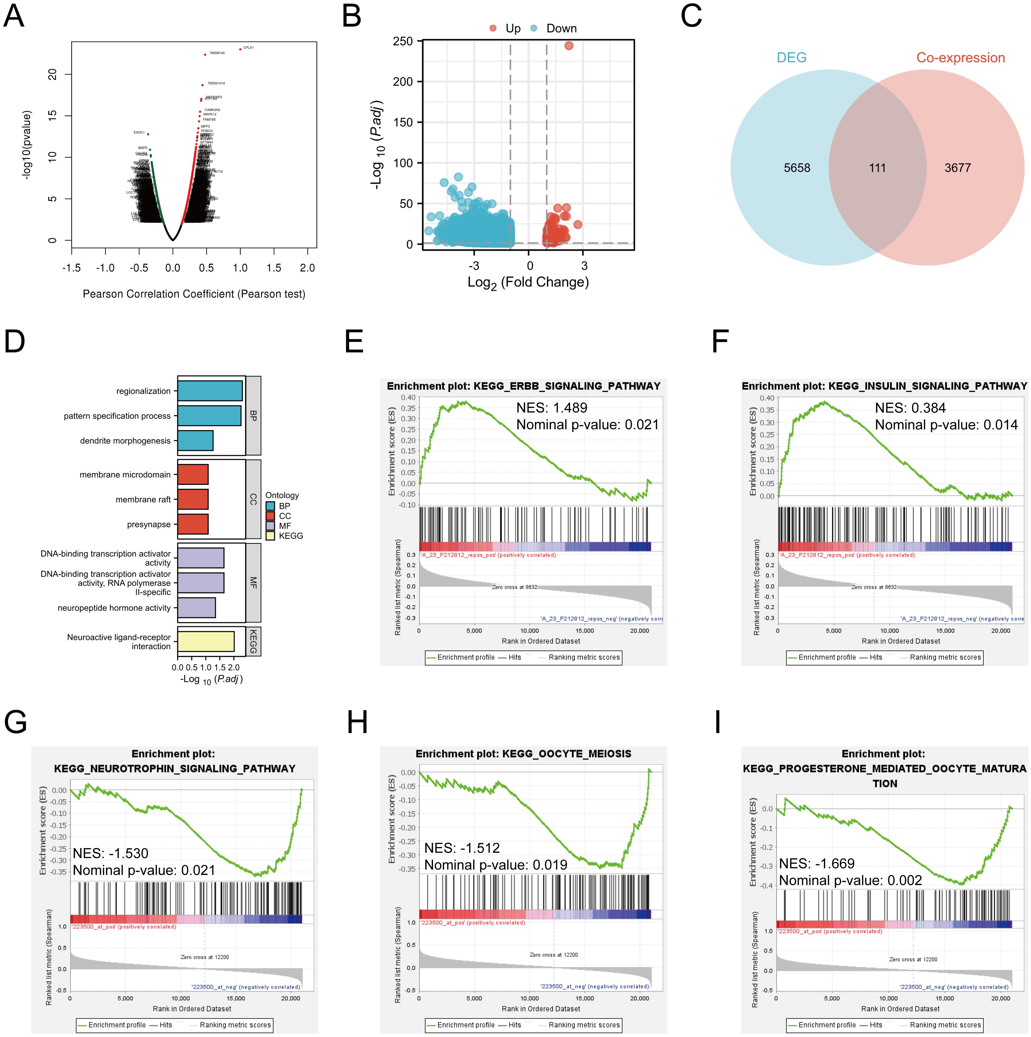Panel A shows a volcano plot illustrating p-value versus Pearson correlation coefficients. Panel B shows a scatter plot of fold change versus p-value with marked upregulated and downregulated genes. Panel C depicts a Venn diagram of differentially expressed genes and co-expressed genes. Panel D is a bar graph of ontology categories with p-value significance. Panels E to I present enrichment plots for signaling pathways with various nominal p-values and normalized enrichment scores, detailing gene set positions and statistical metrics.