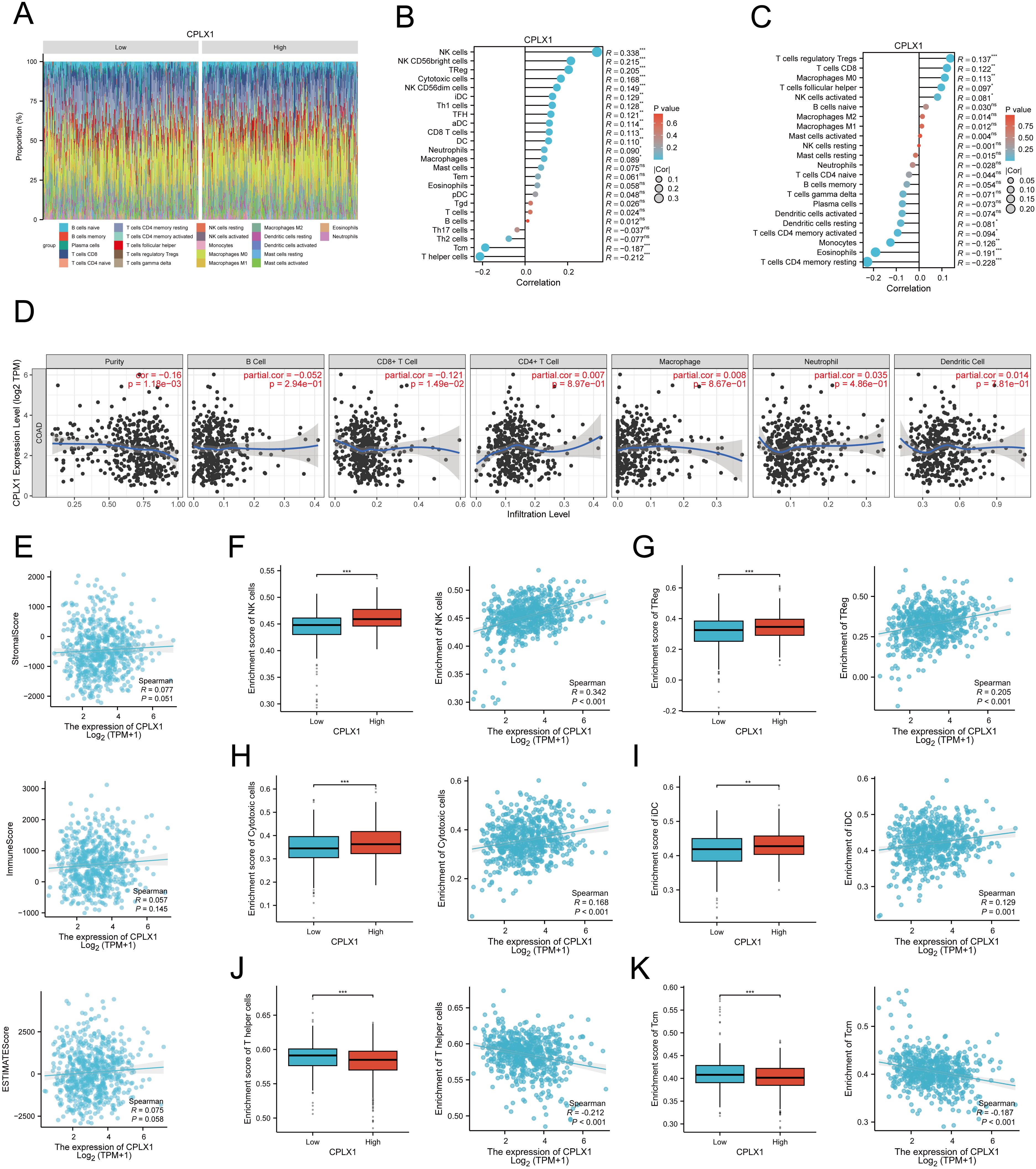 The diagram consists of multiple panels labeled A to K, illustrating data visualizations on CPLX1 expression. Panel A shows a composition heatmap of immune cell types. Panels B and C depict bar plots of CPLX1 correlations with immune cell types, with significant values indicated by p-values. Panel D includes scatter plots charting CPLX1 expression against infiltration levels of various cell types. Panels E to K show scatter plots and box plots correlating CPLX1 expression with different immune cell metrics such as stromal score, immune score, and enrichment scores of specific cell types, highlighting significant associations marked with asterisks.