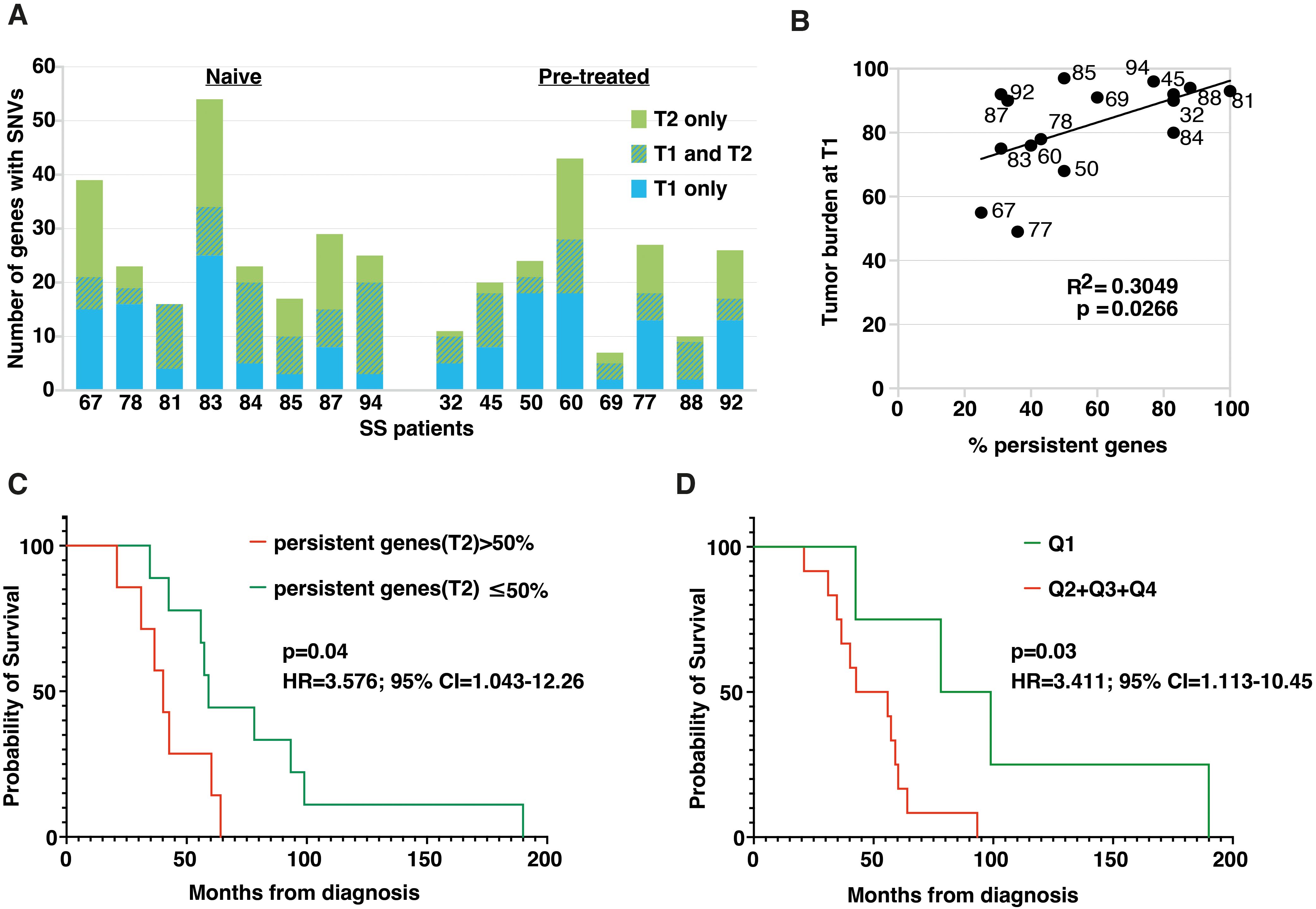 Panel A shows a bar graph of the number of genes with SNVs in naive and pre-treated SS patients, categorized into T1 only, T2 only, and both T1 and T2. Panel B displays a scatter plot with a positive correlation between tumor burden at T1 and the percentage of persistent genes, with R² and p-values noted. Panels C and D are Kaplan-Meier plots illustrating survival probabilities based on persistent genes and quartiles, respectively, with hazard ratios and confidence intervals provided.