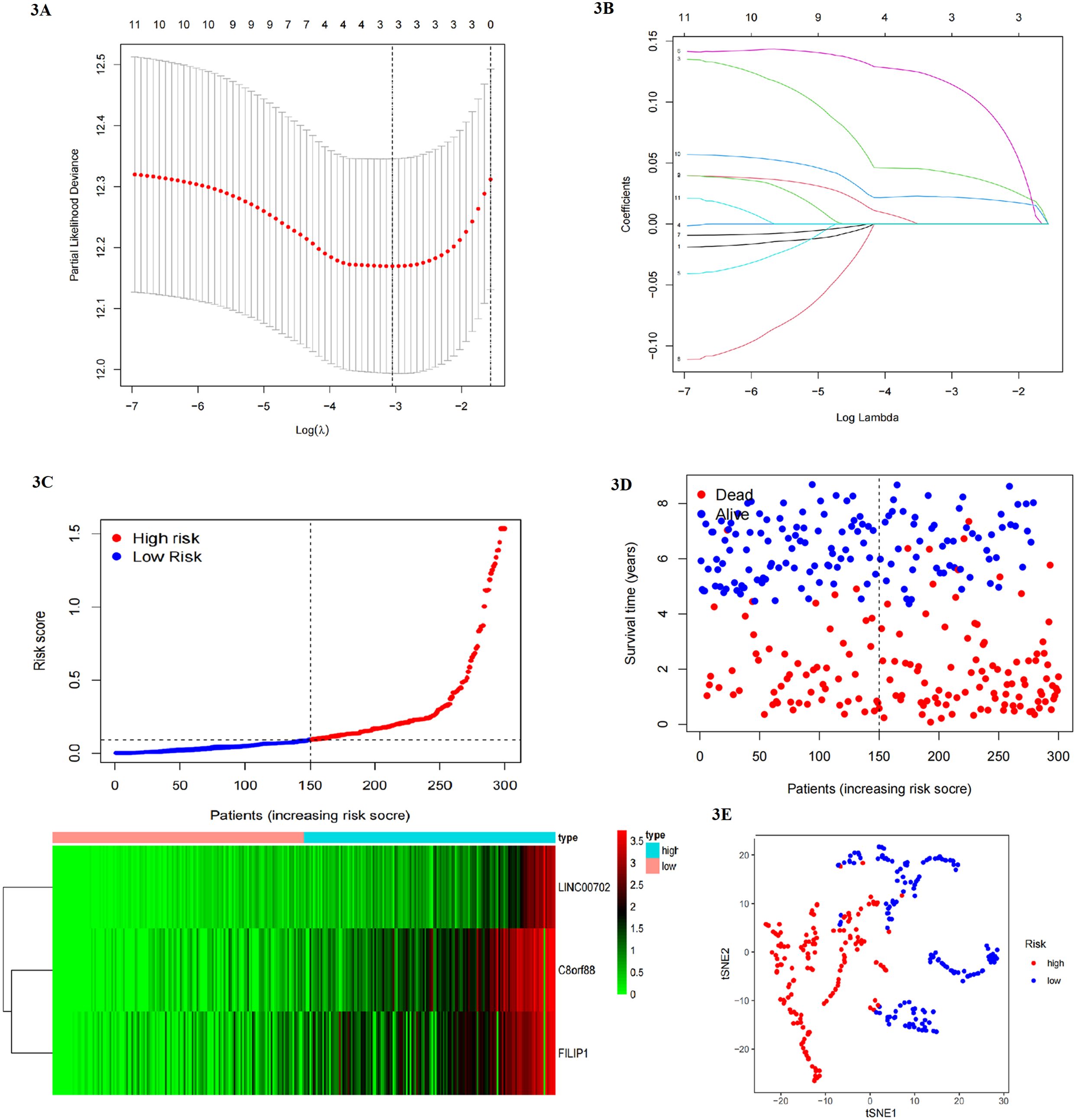 Five-panel figure analyzing patient risk scores and survival. A: Graph showing partial likelihood deviance against log of lambda. B: Coefficient paths over log lambda. C: Risk scores of patients categorized into high and low risk. D: Survival plot distinguishing dead and alive patients. E: t-SNE plot differentiating high and low risk patients. The heatmap at the bottom correlates patient samples with gene expression across three genes.