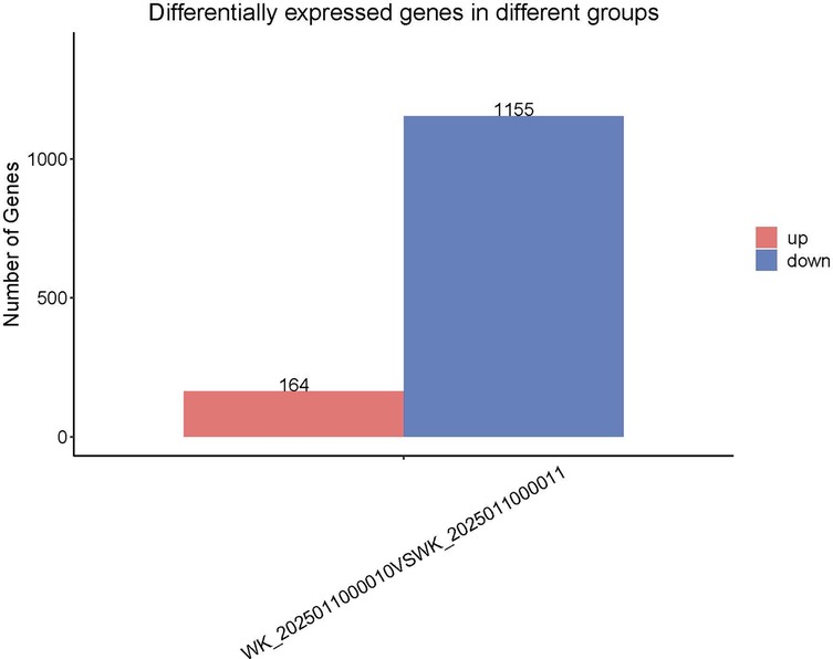 Bar chart titled \