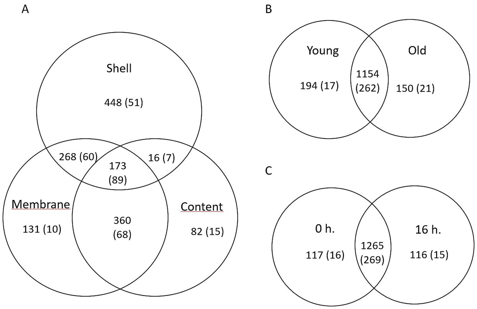 Three Venn diagrams labeled A, B, and C. Diagram A depicts overlap among Shell, Membrane, and Content categories with numbers in each section. Diagram B compares Young and Old categories with numerical values. Diagram C contrasts time points, zero hours and sixteen hours, also showing numerical values within intersections. Each number has a figure in parentheses beside it.