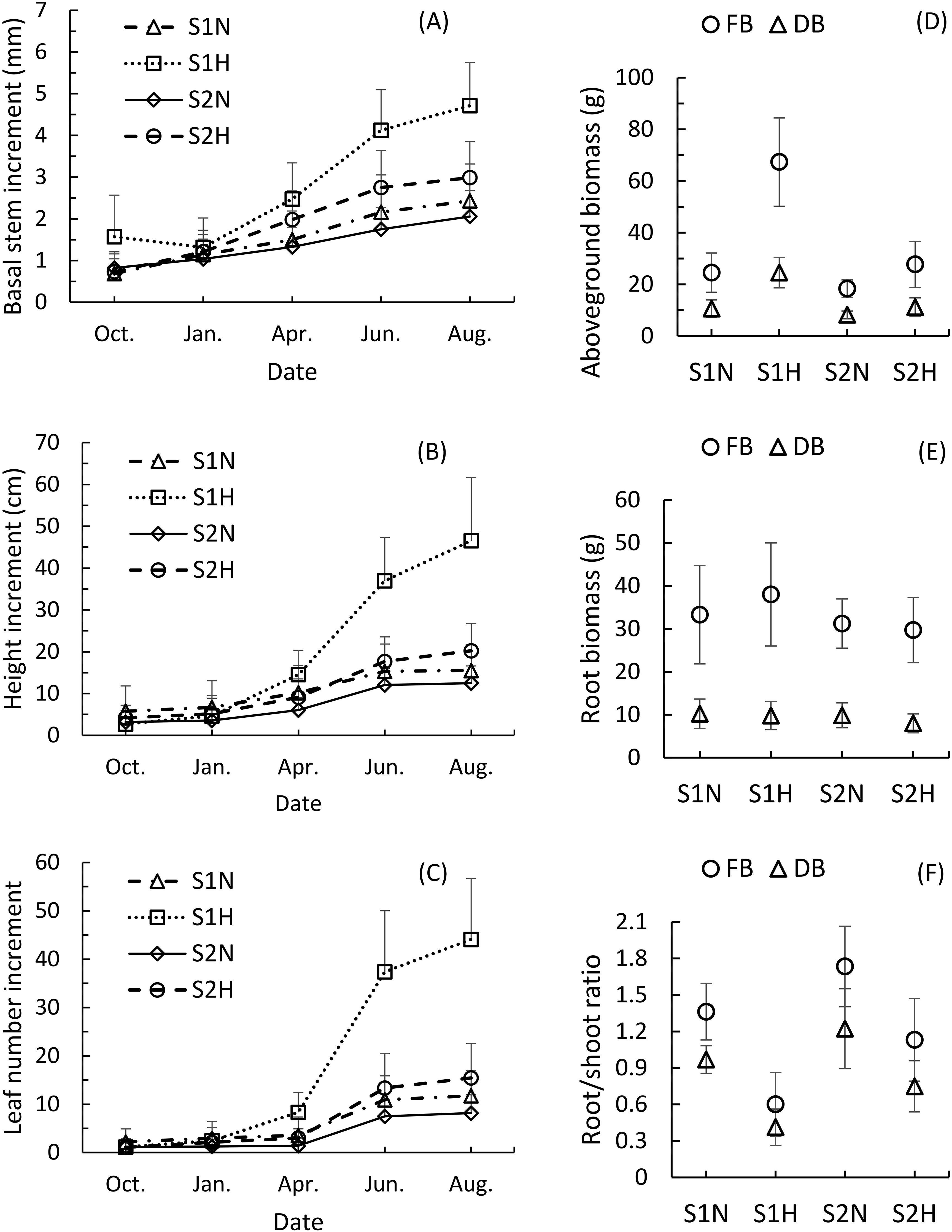 Graphs showing plant growth and biomass data. (A) Basal stem increment in millimeters over time for four treatments (S1N, S1H, S2N, S2H) from October to August. (B) Height increment in centimeters over the same period. (C) Leaf number increment in the same timeframe. (D) Aboveground biomass for the treatments, comparing fresh biomass (FB) and dry biomass (DB). (E) Root biomass with similar comparisons. (F) Root to shoot ratio for each treatment. Error bars indicate variability in measurements.