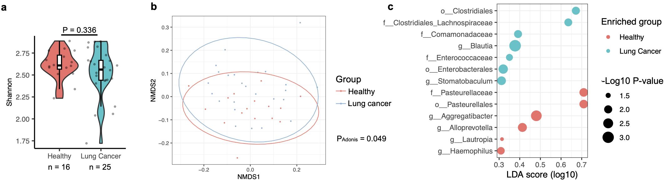Panel a shows a violin plot comparing Shannon diversity indices for healthy and lung cancer groups, with no significant difference (P = 0.336). Panel b is an NMDS plot illustrating overlapping clusters for both groups with significant difference (P_Adonis = 0.049). Panel c is a bubble plot showing enriched bacterial groups, with colors indicating healthy or lung cancer association and bubble size representing -Log10 P-values and LDA scores.