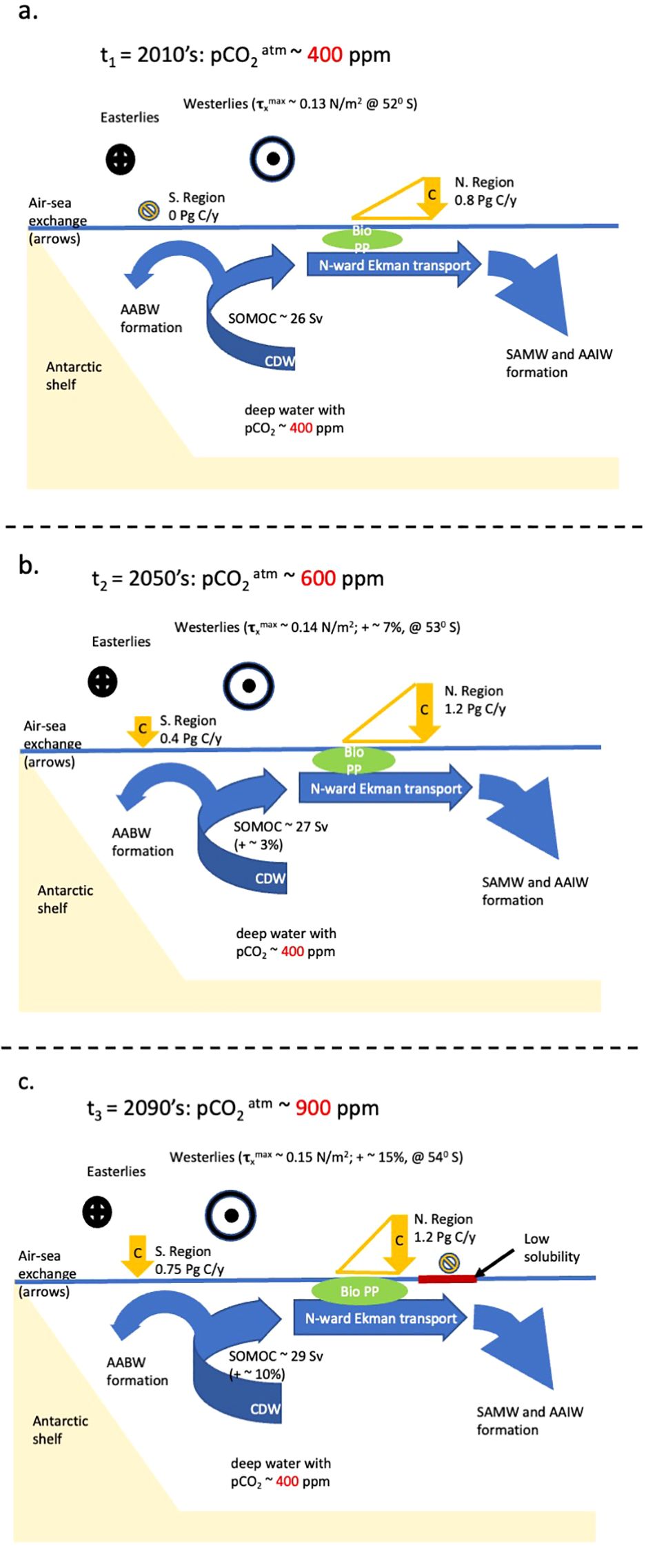 Diagram showing three scenarios of oceanic carbon dioxide exchange and circulation over time. 1. Scenario a: In the 2010s, atmospheric CO2 is 400 ppm with air-sea exchange, Antarctic Bottom Water (AABW) formation, and northward Ekman transport. The Southern Ocean Meridional Overturning Circulation (SOMOC) is about 26 Sverdrups. 2. Scenario b: In the 2050s, CO2 rises to 600 ppm. Westerlies strengthen, SOMOC increases to 27 Sverdrups, and carbon sequestration in the Southern and Northern regions intensifies. 3. Scenario c: By the 2090s, CO2 reaches 900 ppm with further enhanced air-sea exchange and SOMOC reaching 29 Sverdrups. Increased carbon sequestration and reduced solubility are noted.