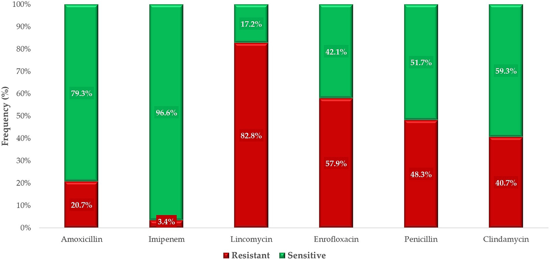 Bar chart showing antibiotic resistance and sensitivity for five antibiotics: Amoxicillin, Imipenem, Lincomycin, Enrofloxacin, Penicillin, and Clindamycin. Green bars indicate sensitivity; red bars indicate resistance. Amoxicillin is 79.3% sensitive and 20.7% resistant. Imipenem is 96.6% sensitive and 3.4% resistant. Lincomycin is 17.2% sensitive and 82.8% resistant. Enrofloxacin is 42.1% sensitive and 57.9% resistant. Penicillin shows 51.7% sensitivity and 48.3% resistance. Clindamycin is 59.3% sensitive and 40.7% resistant.