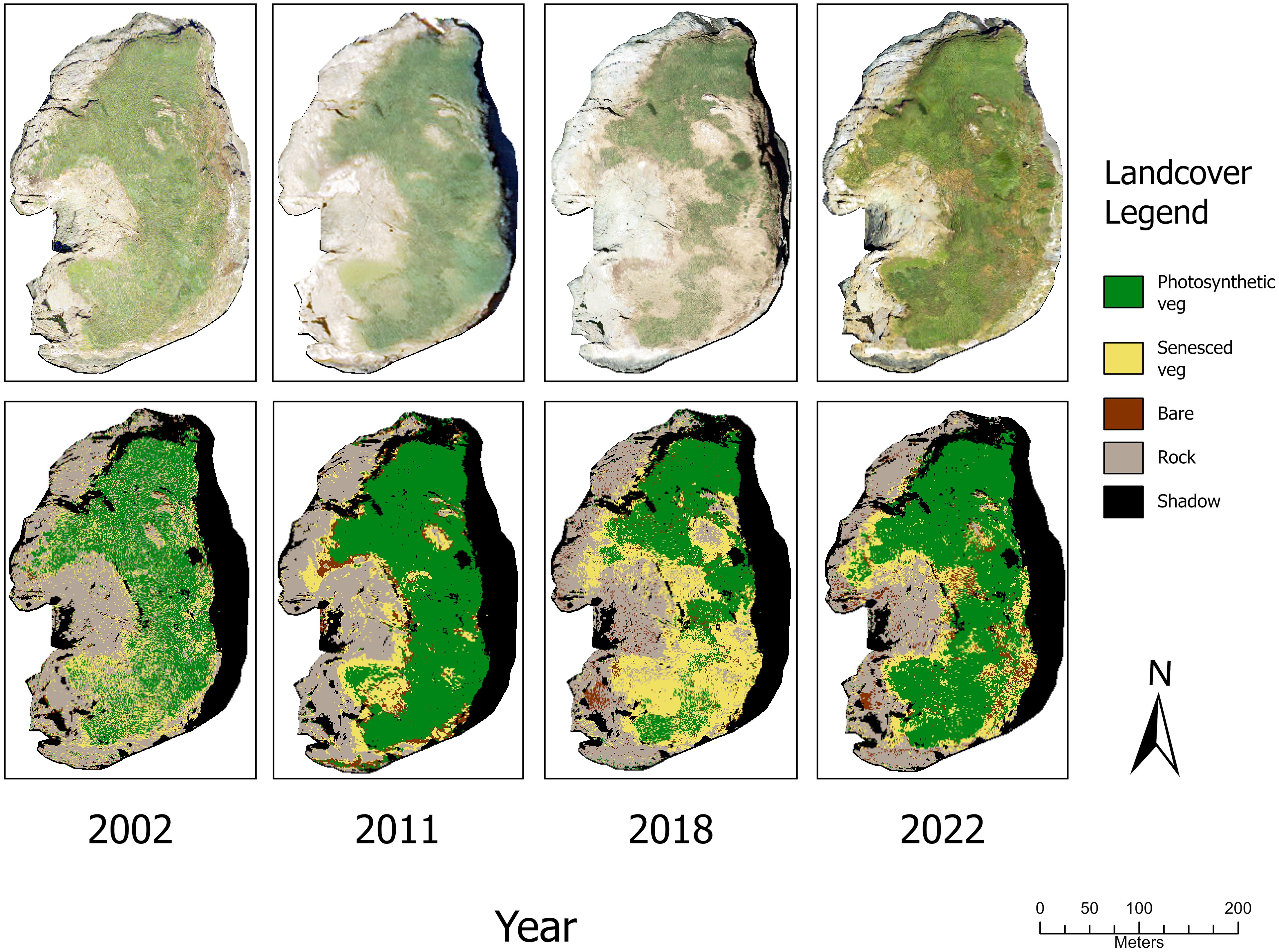Satellite images show land cover changes over four years: 2002, 2011, 2018, and 2022. The top row displays natural color imagery, while the bottom row shows categorized land cover. The legend indicates green for photosynthetic vegetation, yellow for senesced vegetation, brown for bare land, gray for rock, and black for shadow. The images highlight significant vegetation increase and land cover changes over time. North arrow and scale are provided.