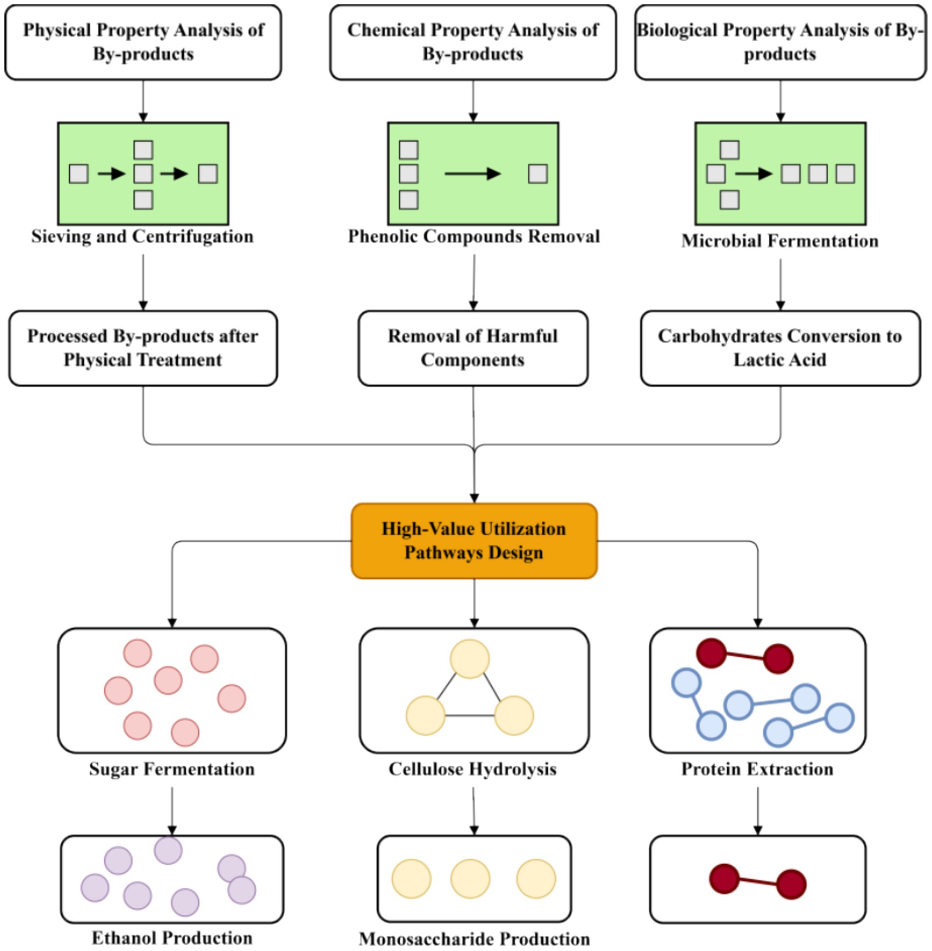 Flowchart illustrating the processing of by-products through physical, chemical, and biological analyses. It leads to high-value utilization via pathways such as sugar fermentation, cellulose hydrolysis, and protein extraction. Each process results in specific outputs: ethanol production, monosaccharide production, and further protein extraction, respectively.