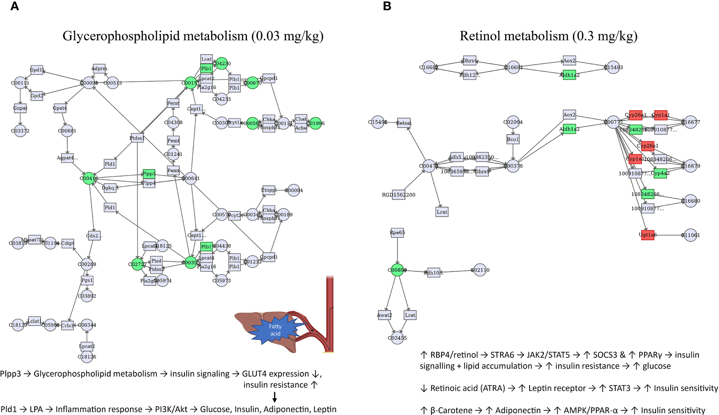 Diagram illustrating metabolic pathways: (A) Glycerophospholipid metabolism and (B) Retinol metabolism, with annotations showing the effects of specific compounds. Each network features nodes and connections, with some nodes highlighted in green and red, indicating specific interactions or changes in expression. Pathways are labeled with compounds such as Plpp3 in (A) and Cyp2c6 in (B), linking metabolic processes to outcomes like insulin signaling and glucose levels.