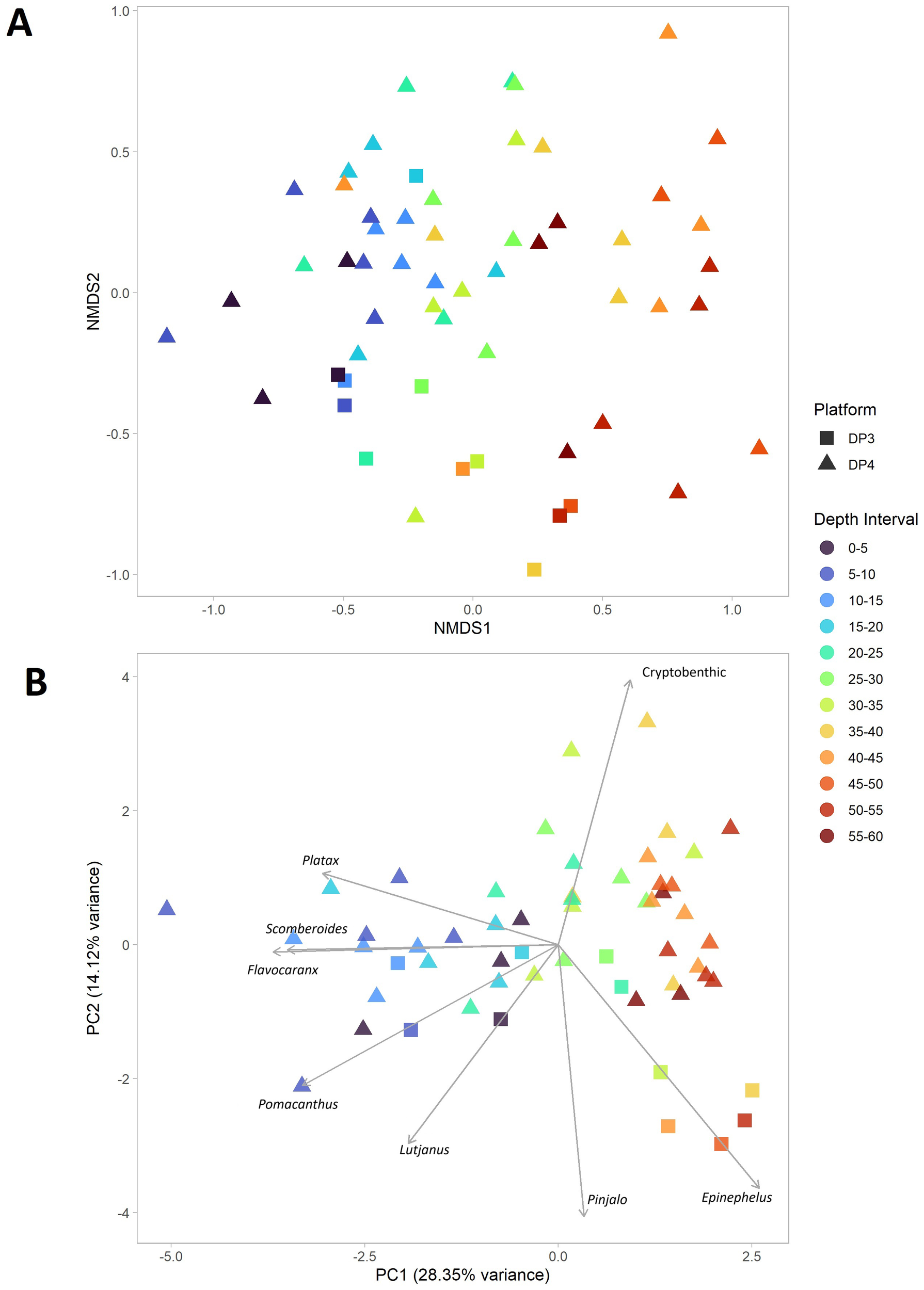 Ordination plots labeled A and B show data from platforms DP3 and DP4, differentiated by shapes (squares and triangles) and colours indicating depth intervals from zero to sixty meters. Plot A displays NMDS axes, while Plot B shows PCA axes with species vectors like Platax and Lutjanus indicating direction.