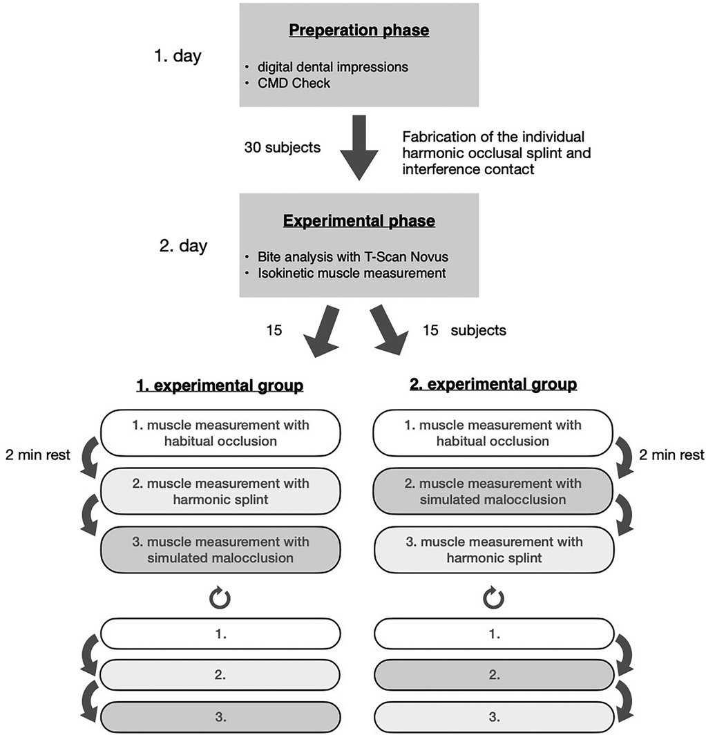 Flowchart depicting a two-day study process on dental impressions and muscle measurements. Day one involves the preparation phase with digital dental impressions and CMD checks for 30 subjects. Day two splits into an experimental phase with bite analysis and isokinetic muscle measurement. Thirty subjects are divided into two experimental groups. Group one undergoes muscle measurements in three phases: habitual occlusion, harmonic splint, and simulated malocclusion. Group two follows a similar sequence with different order: habitual occlusion, simulated malocclusion, and harmonic splint. Two-minute rests are included between each phase.