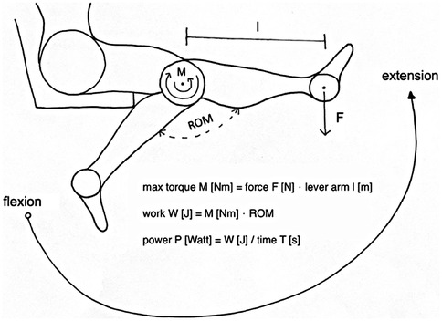 Diagram illustrating the biomechanics of knee movement. It shows the thigh and leg connected at a joint. The force (F) applies downward on the leg at a distance (lever arm l) from the joint. The range of motion (ROM) covers flexion to extension. Equations describe maximum torque (M), work (W), and power (P) relationships using force, lever arm, ROM, and time.