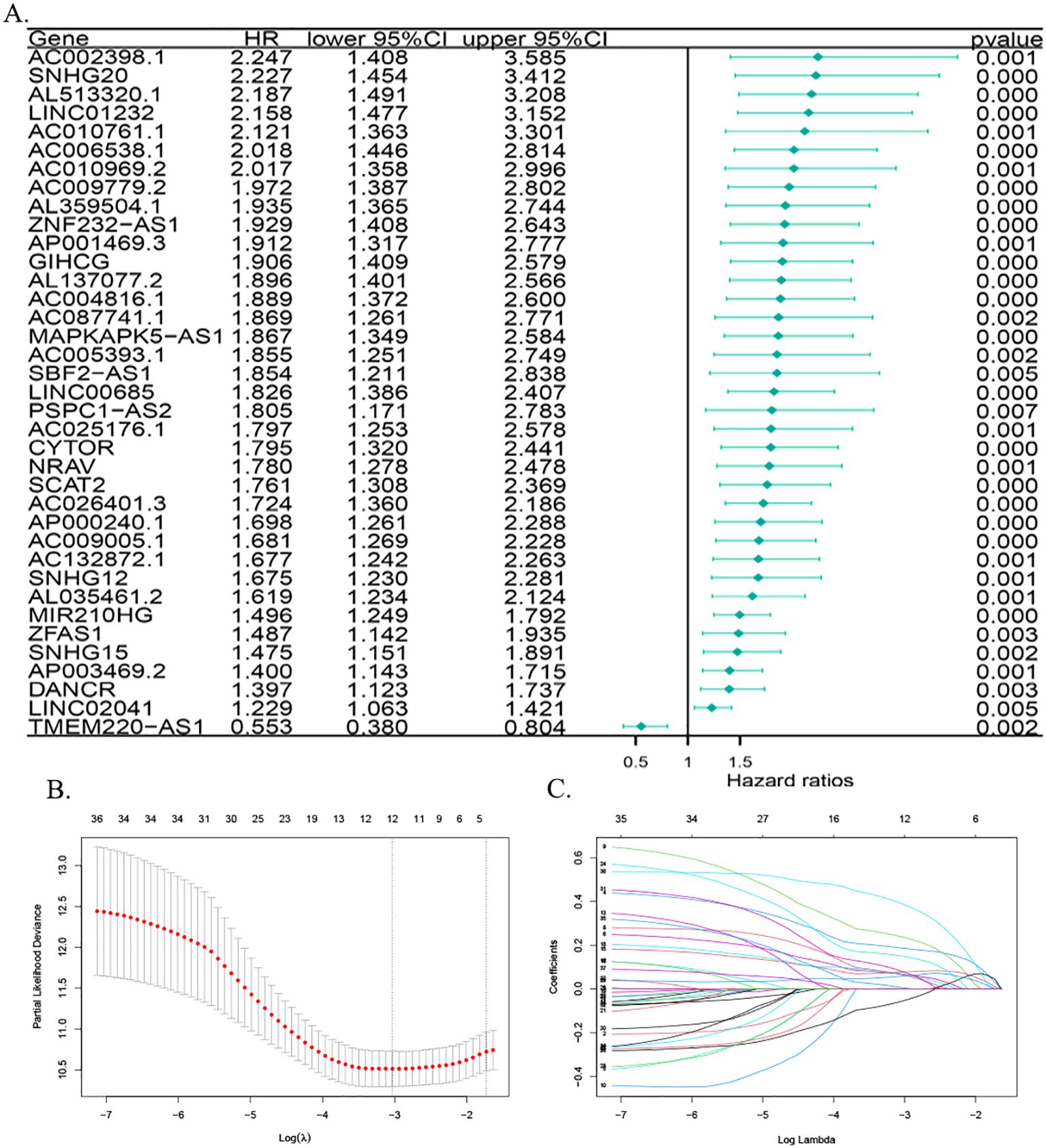 Panel A shows a table listing various genes with their hazard ratio (HR), lower and upper 95% confidence intervals, and p-values, accompanied by a forest plot illustrating hazard ratios. Panel B presents a plot of partial likelihood deviance against log(lambda), with data points marked in red, indicating the optimal lambda. Panel C displays a coefficient path plot showing how gene coefficients change with log(lambda), with various colored lines representing different genes.