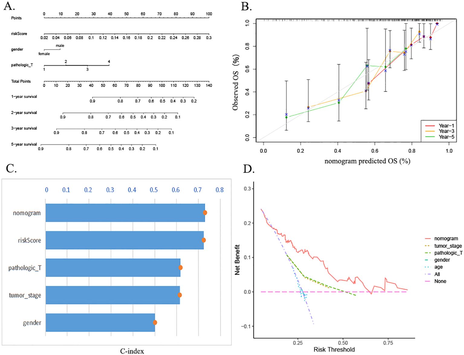 A four-panel figure related to a nomogram analysis: A. A nomogram plotting points against risk score, gender, pathologic T, and total points, predicting survival for one, two, three, and five years. B. A calibration plot comparing observed overall survival (OS) percentages with predicted OS percentages over one, three, and five years, showing a positive correlation. C. A bar chart showing the C-index for nomogram, riskScore, pathologic_T, tumor_stage, and gender, with nomogram having the highest value. D. A decision curve analysis plot illustrating net benefit versus risk threshold for nomogram, tumor_stage, pathologic_T, gender, age, all, and none.