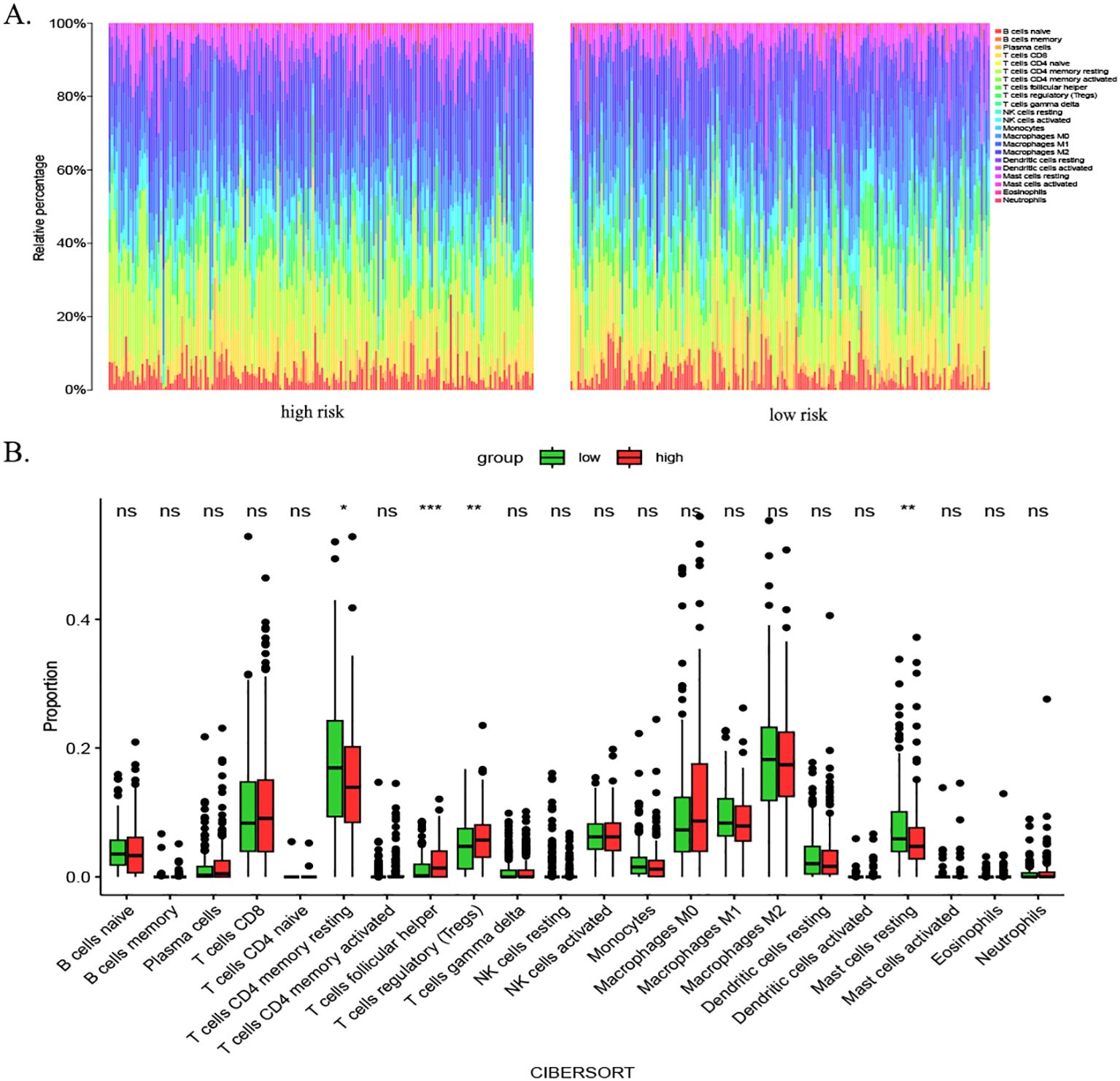 A. Stacked bar charts depicting the relative percentage of various immune cell types in high risk and low risk groups. Different colors represent distinct cell types. B. Box plots comparing the proportions of immune cells between low and high risk groups, with statistical significance indicated above each pair.