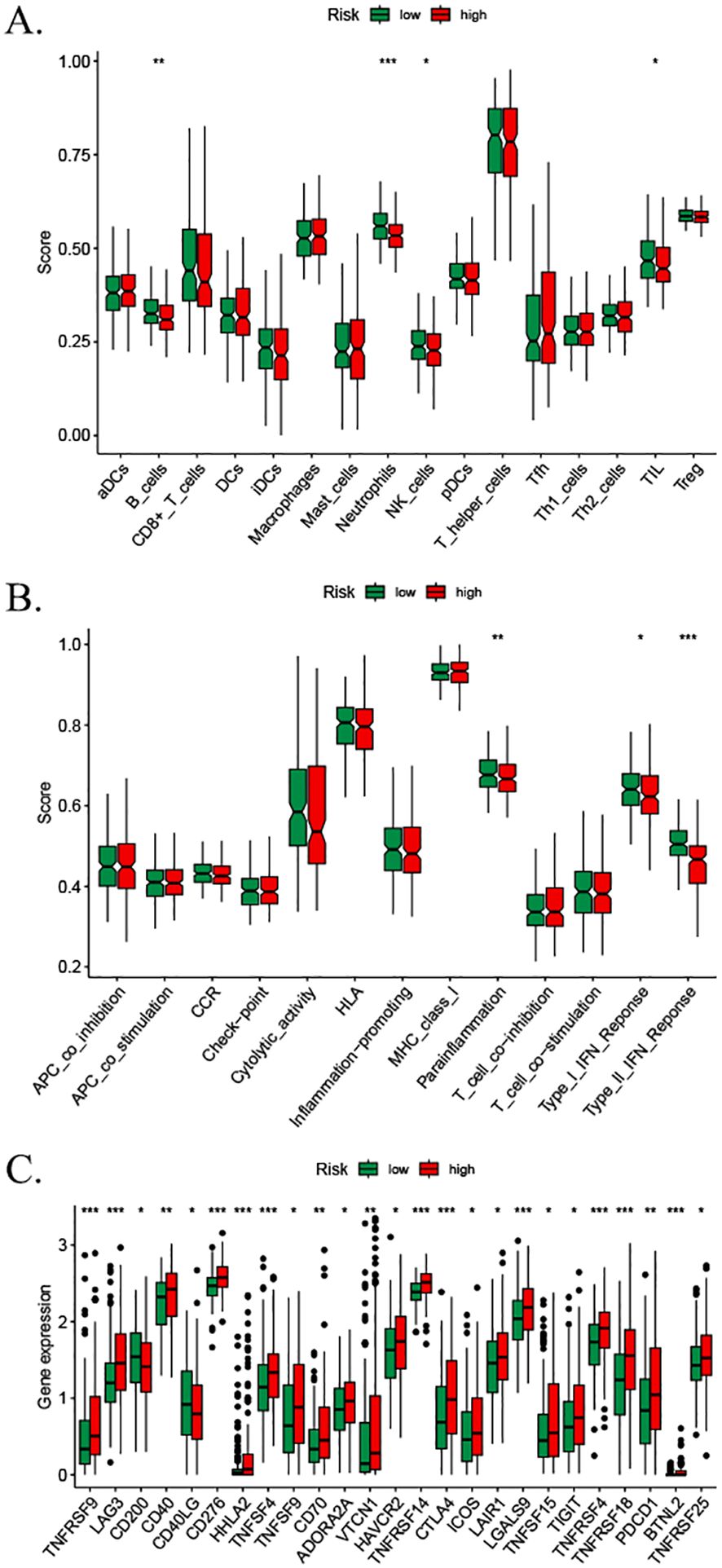 Box plots illustrate scores and gene expression related to immune cell types, pathways, and genes for low (green) and high (red) risk groups. Panel A shows immune cell types, Panel B shows immune pathways, and Panel C shows gene expression levels. Statistical significance is indicated by asterisks above specific comparisons.