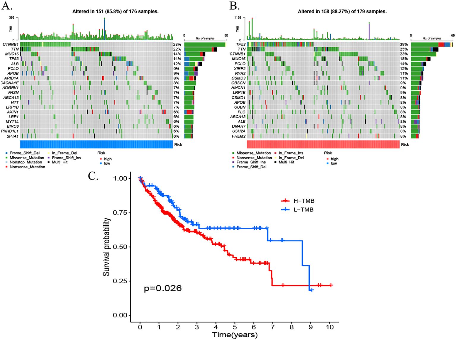 Panels A and B display oncoprint graphs showing gene mutations in samples, with color coding indicating mutation types and risk levels. Panel C is a Kaplan-Meier survival curve comparing high tumor mutational burden (H-TMB) and low tumor mutational burden (L-TMB) groups, with a significant difference in survival probability (p = 0.026) over time.