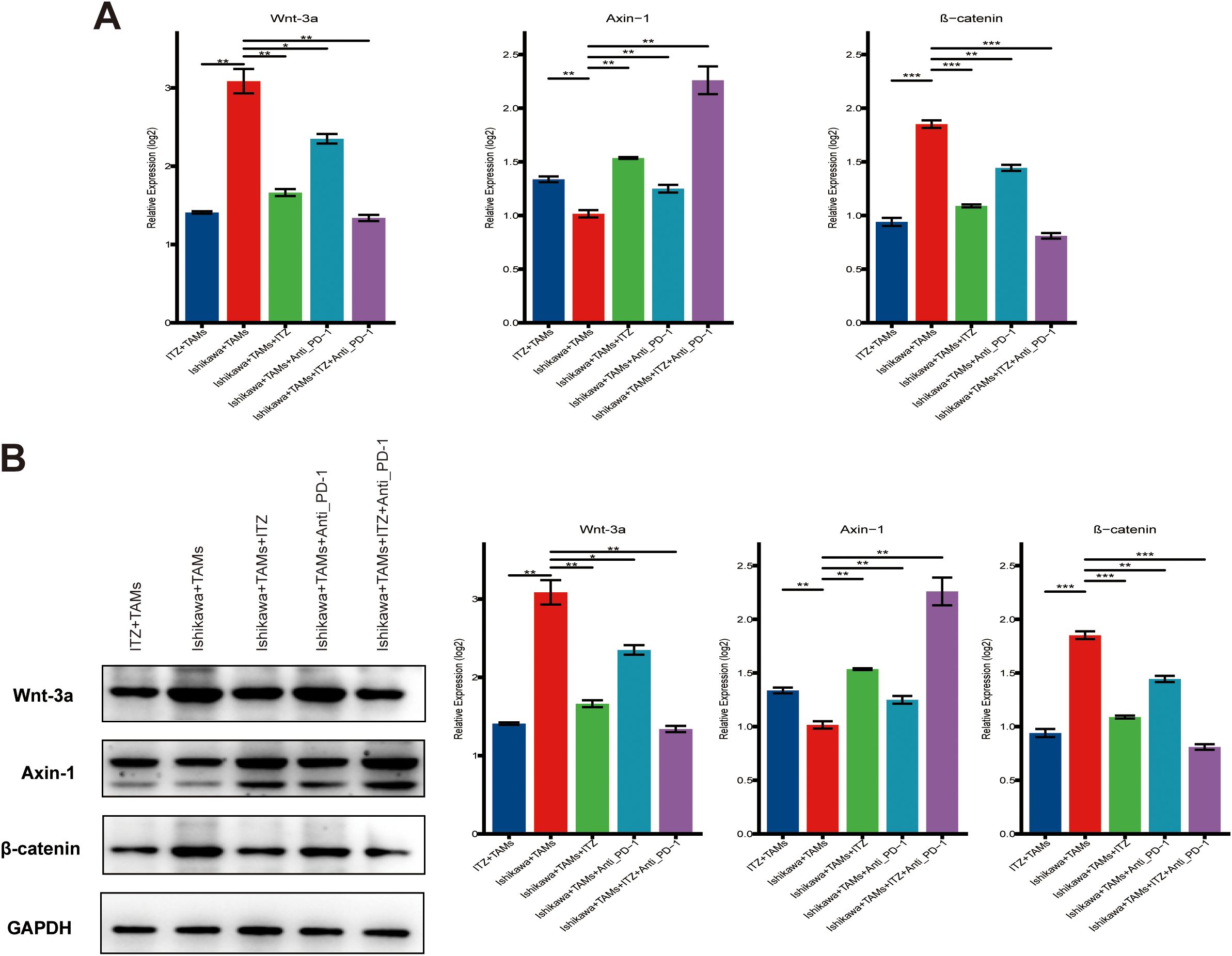 Experimental analysis of tumor treatment in mice. A) Study timeline for four groups: Control, ITZ, Anti_PD-1, ITZ+Anti_PD-1. B) Comparison of tumor-bearing mice across treatment groups. C) Excised tumors displayed by treatment group. D) Graph showing tumor weight differences; Anti_PD-1, and ITZ+Anti_PD-1 show reduced weight. E) Tumor volume over time, with combined treatment showing the greatest reduction. F) Flow cytometry plots and bar graphs depicting immune cell markers CD96 and CD206, with M1 and M2 macrophage populations analyzed; treatment impacts vary across groups.