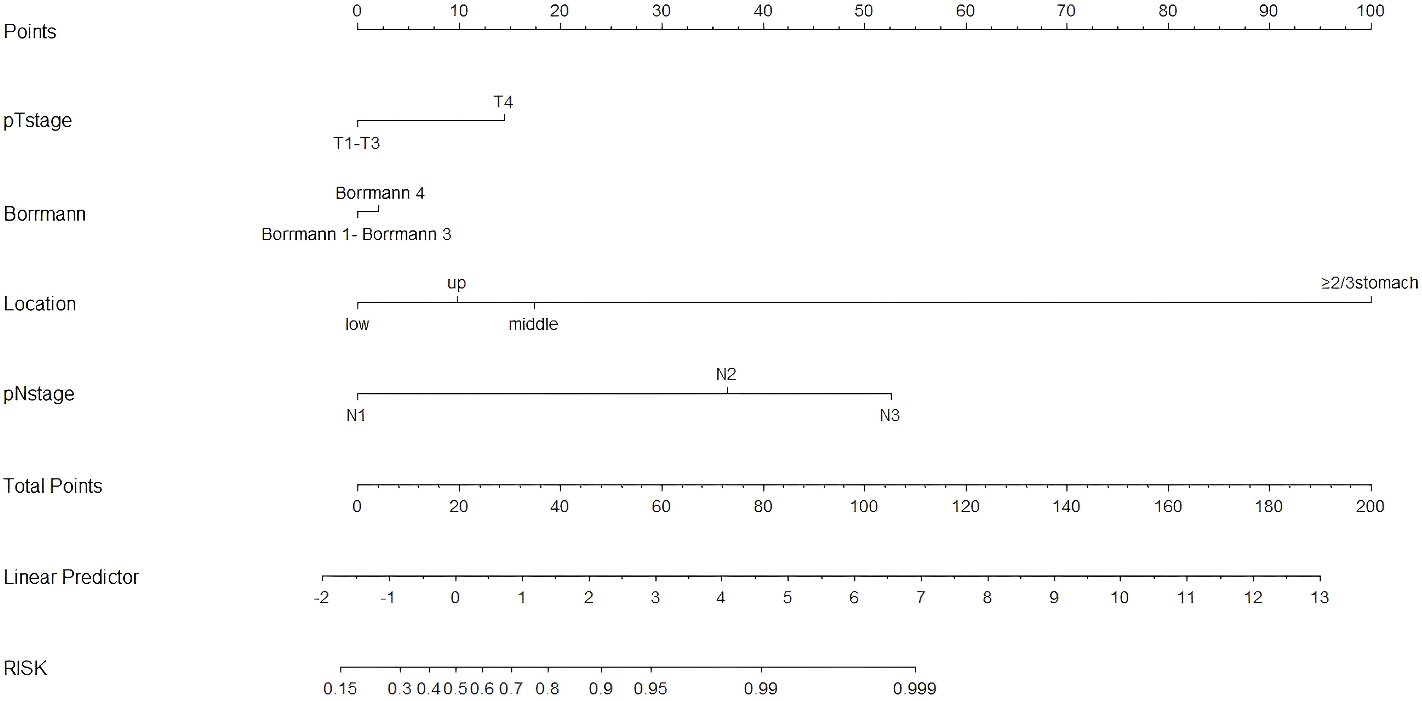 Nomogram chart displaying scales for clinical factors: Points, pTstage with T1-T3 and T4, Borrmann types one to four, location from low to up, pNstage with N1 to N3, total points, linear predictor ranging from negative two to thirteen, and risk ranging from 0.15 to 0.999.