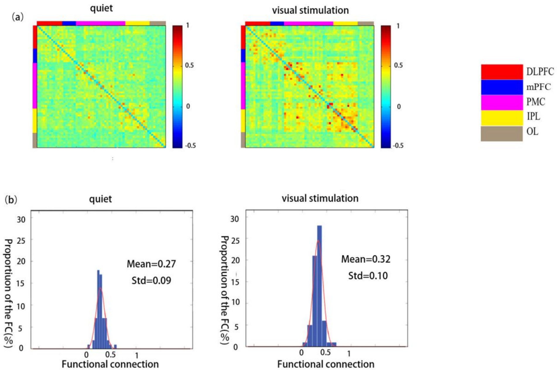 (a) Two heatmaps compare functional connectivity during quiet and visual stimulation. The color scale ranges from negative 0.5 (blue) to 1 (red), with labeled brain regions: DLPFC (red), mPFC (blue), PMC (pink), IPL (yellow), OL (brown). (b) Two histograms depict functional connection proportions during quiet and visual stimulation, with mean and standard deviations of 0.27/0.09 and 0.32/0.10, respectively.