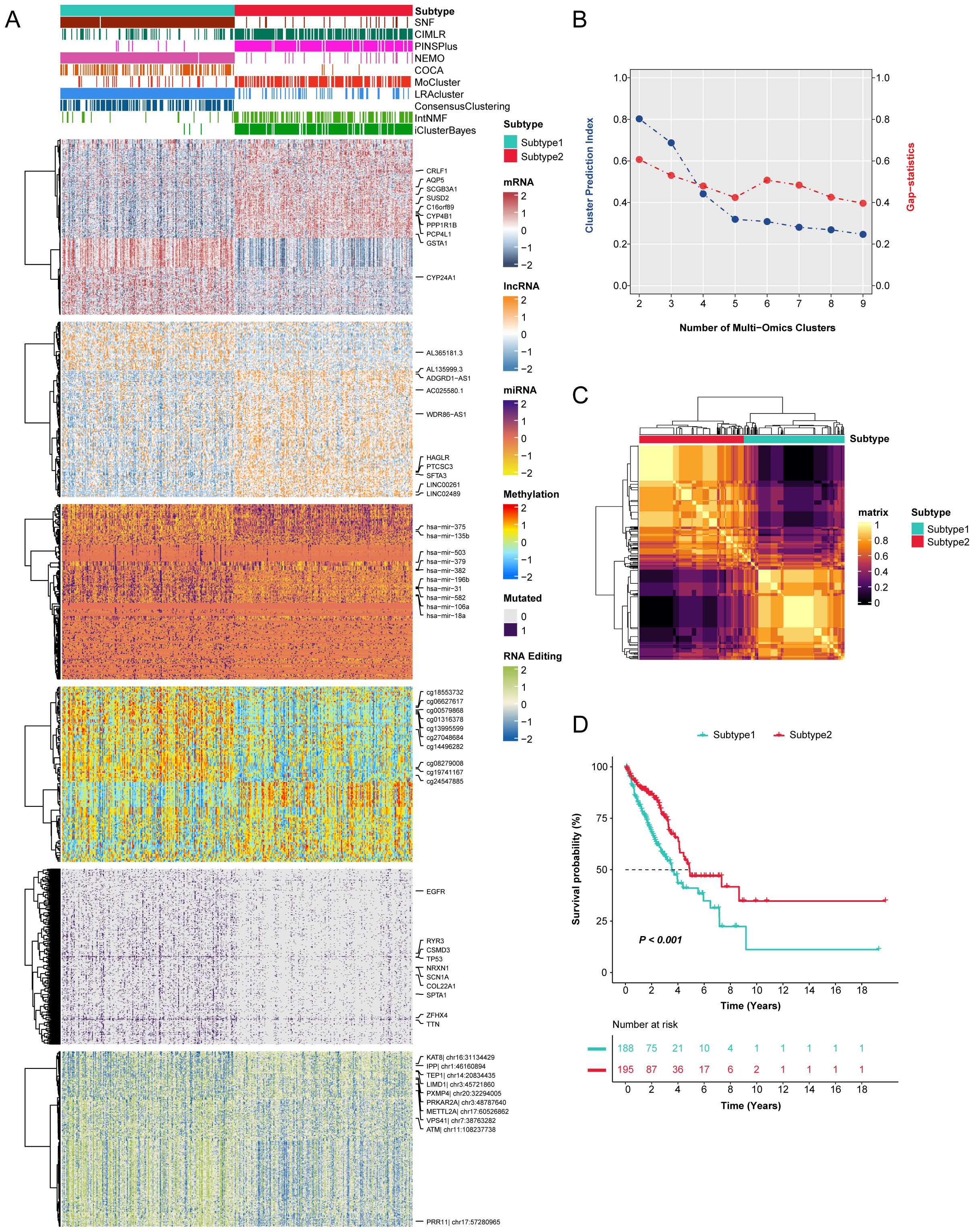 Multi-panel image showing bioinformatics analyses. Panel A displays a heatmap of multi-omics data, including mRNA, lncRNA, miRNA, methylation, mutations, and RNA editing, clustered by subtypes. Panel B contains a line graph showing the relationship between cluster prediction index and the number of multi-omics clusters. Panel C shows a heatmap of subtype correlations with color-coded intensity. Panel D includes a Kaplan-Meier survival plot comparing survival probabilities between two subtypes over time, highlighting significant divergence with a p-value of less than 0.001.