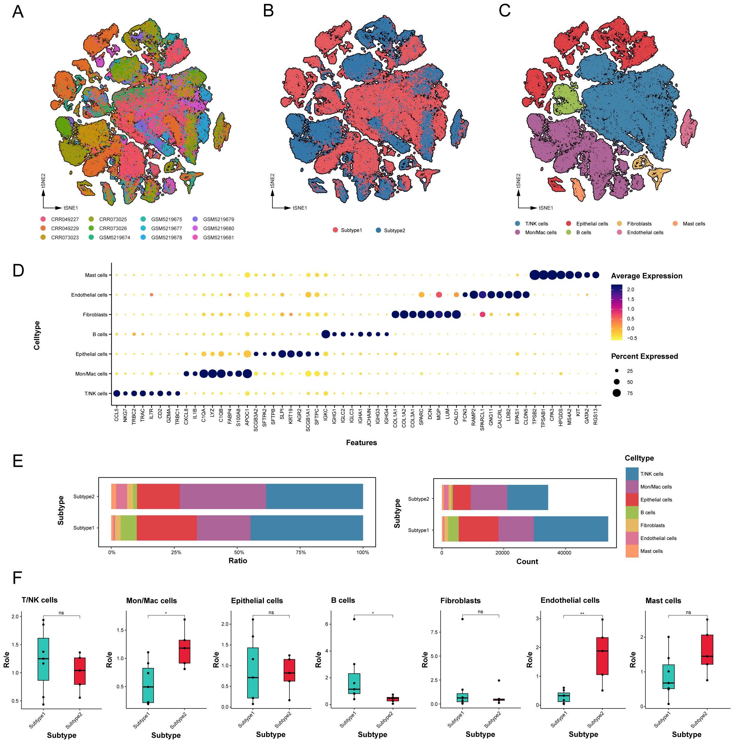 A scientific visualization presenting various data types related to immune cell subtypes. Panels A, D, and H showcase SNE plots of cell populations, colored by subtype. Panels B, F, and I display bar charts with cell ratio and count comparisons between subtypes. Panels C, G, and J feature box plots comparing roles among different cell subtypes. Panel E contains density plots of markers across cell populations. Each type uses distinct labels and legend colors to differentiate types, such as T cells, B cells, monocytes, and macrophages.