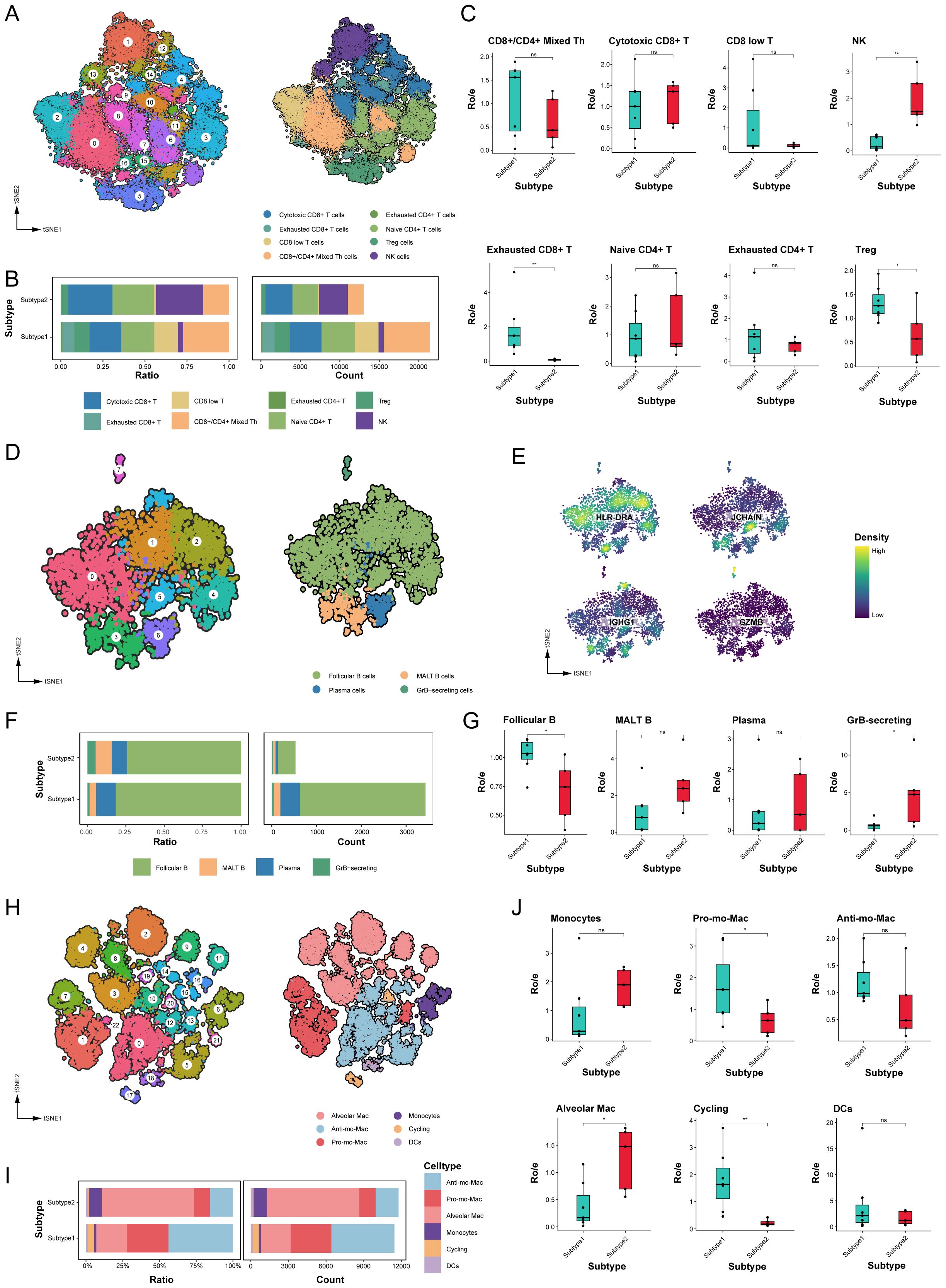 Panel A shows several Kaplan-Meier survival curves comparing high-risk and low-risk patient groups based on variables like age, gender, and cancer stage. Panel B features violin plots illustrating risk score distributions across subtypes, age, gender, and other factors. Panel C includes Kaplan-Meier plots for progression-free survival across different datasets. Panels D and E display forest plots with hazard ratios and p-values for various clinical factors and risk scores.