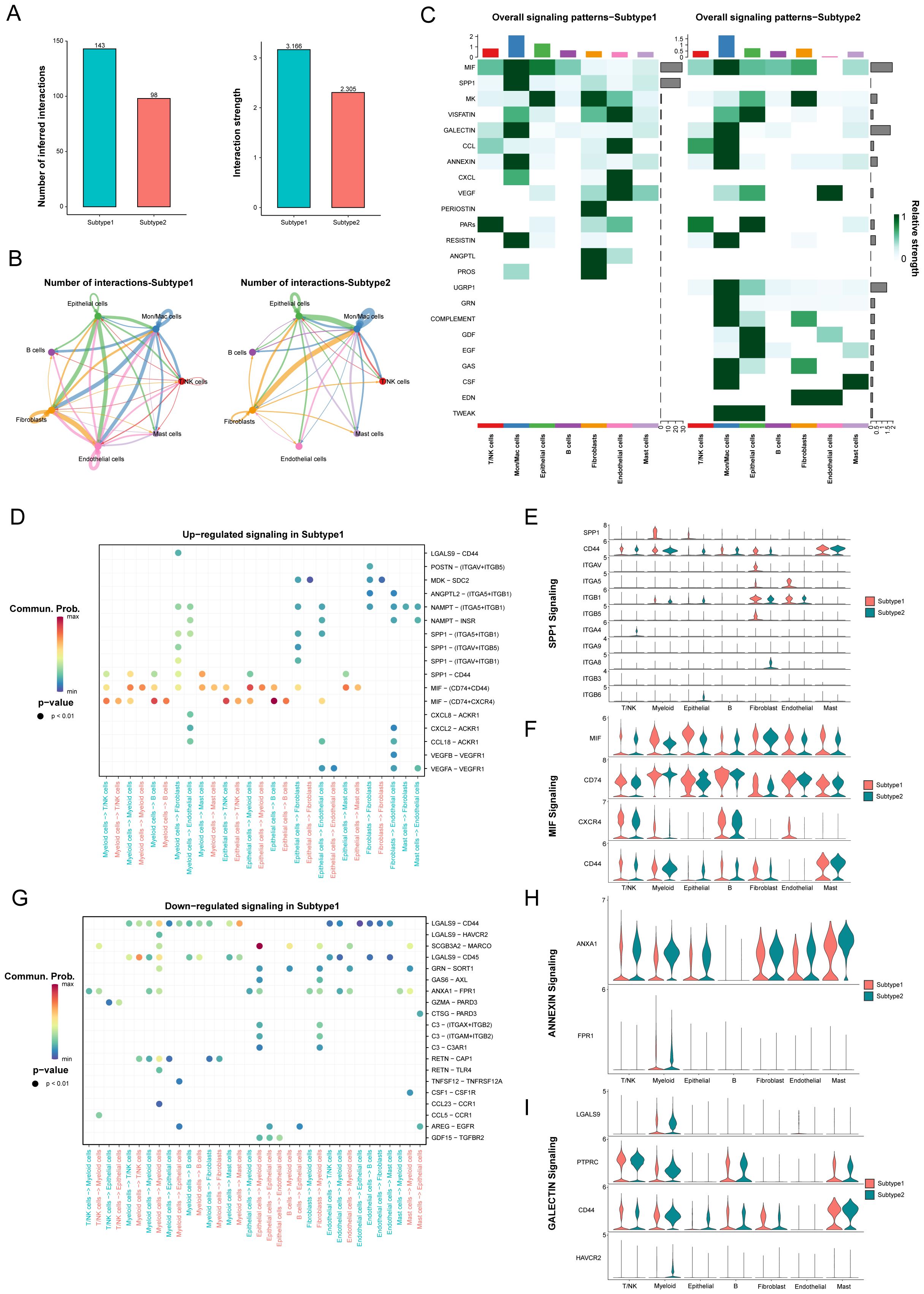 Panel A presents a heatmap of gene expression across various patient samples, categorized by stage, risk, and cell type. Panel B shows box plots comparing scores for low and high-risk groups across different parameters. Panel C depicts box plots of gene expression levels in low and high-risk groups. Panel D displays a bar and table chart categorizing 335 patients into subtypes and risk levels with associated p-values.
