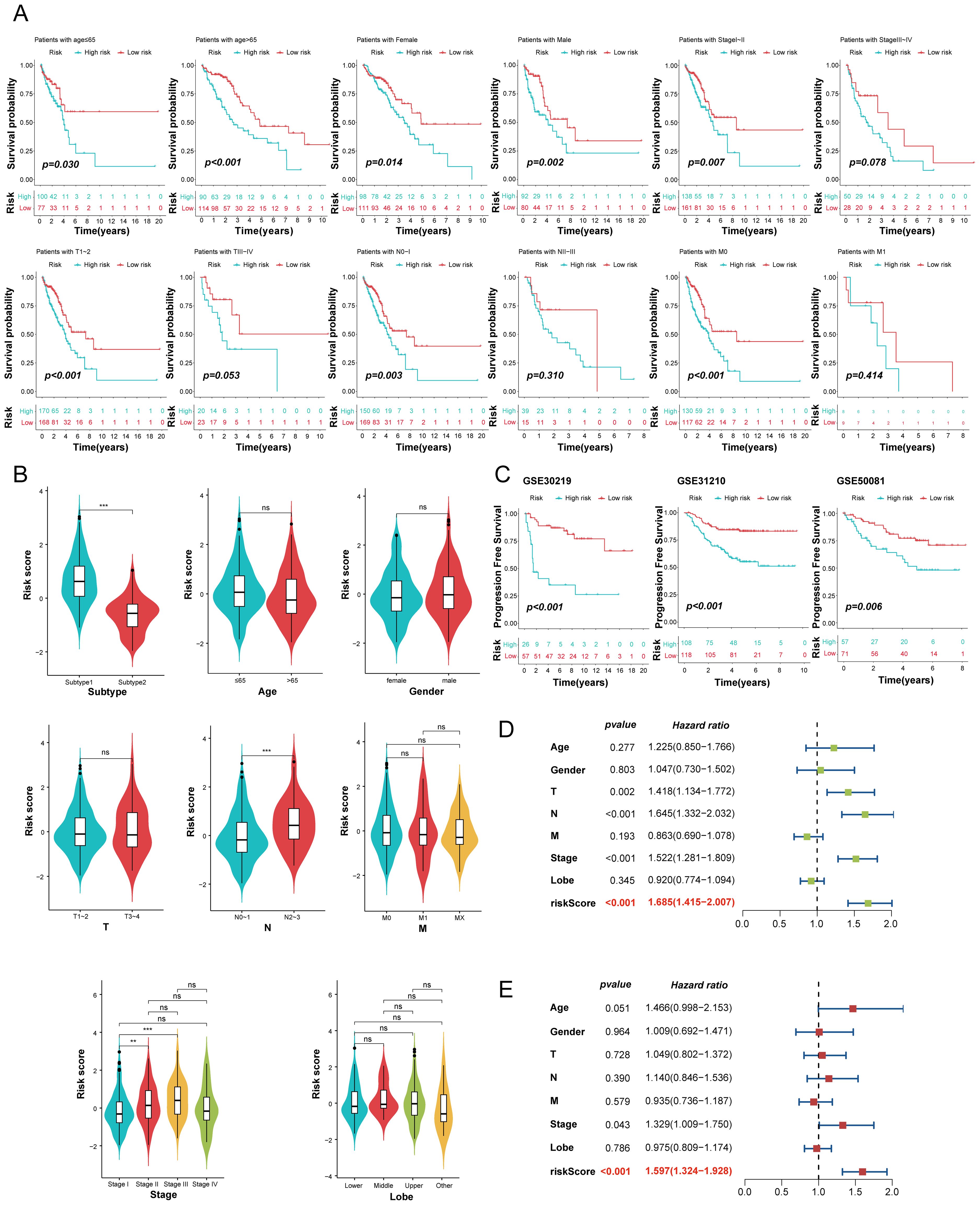 The composite image contains multiple panels of data visualizations and analysis results related to cancer studies. Panel A displays a heatmap showing C-index values across various cohorts and methods. Panel B presents a line plot of coefficients versus Log Lambda. Panel C is a plot of partial likelihood deviance against Log Lambda. Panel D shows a dot plot of feature coefficients. Panel E lists key biological processes. Panel F contains survival curves and ROC curves for multiple datasets, illustrating distinctions between high-risk and low-risk groups with corresponding p-values and AUC values.