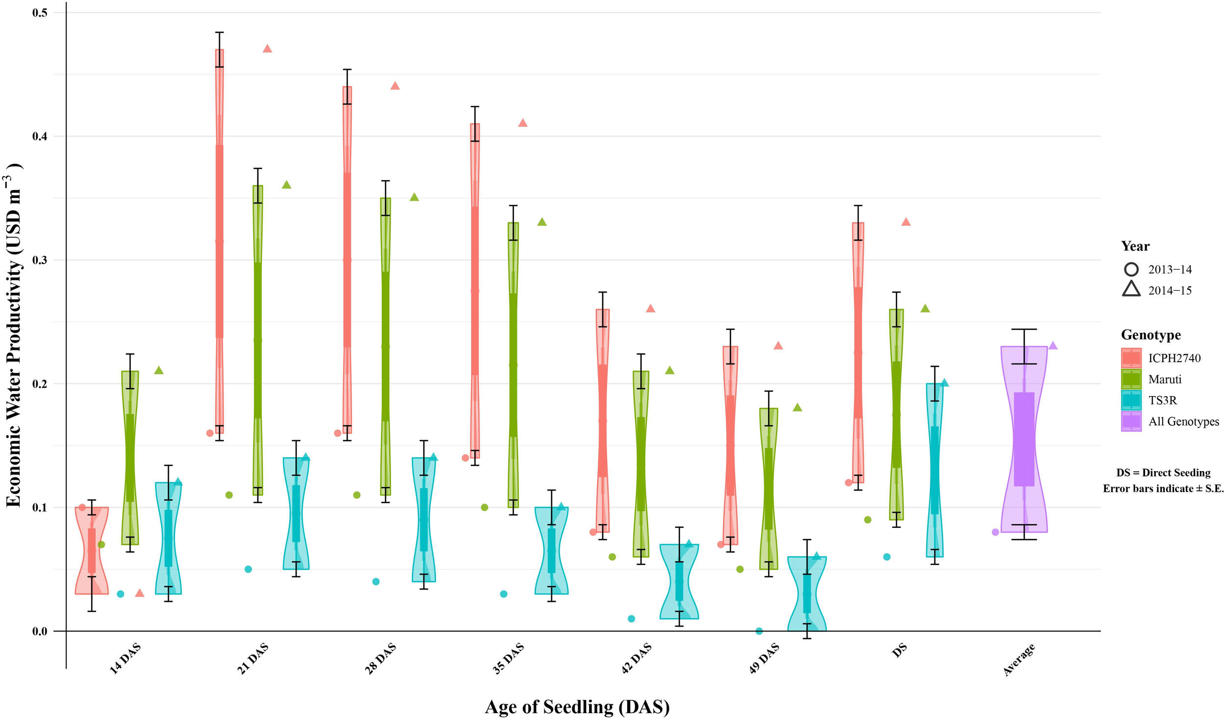 Violin plot showing economic water productivity (USD per cubic meter) across different ages of seedlings (DAS) for various genotypes: ICPH2740, Maruti, TS3R, and all genotypes combined. Data is compared between two years, 2013-14 and 2014-15, with error bars indicating the standard error. Each genotype is represented with different colors, and markers indicate specific years' data points.