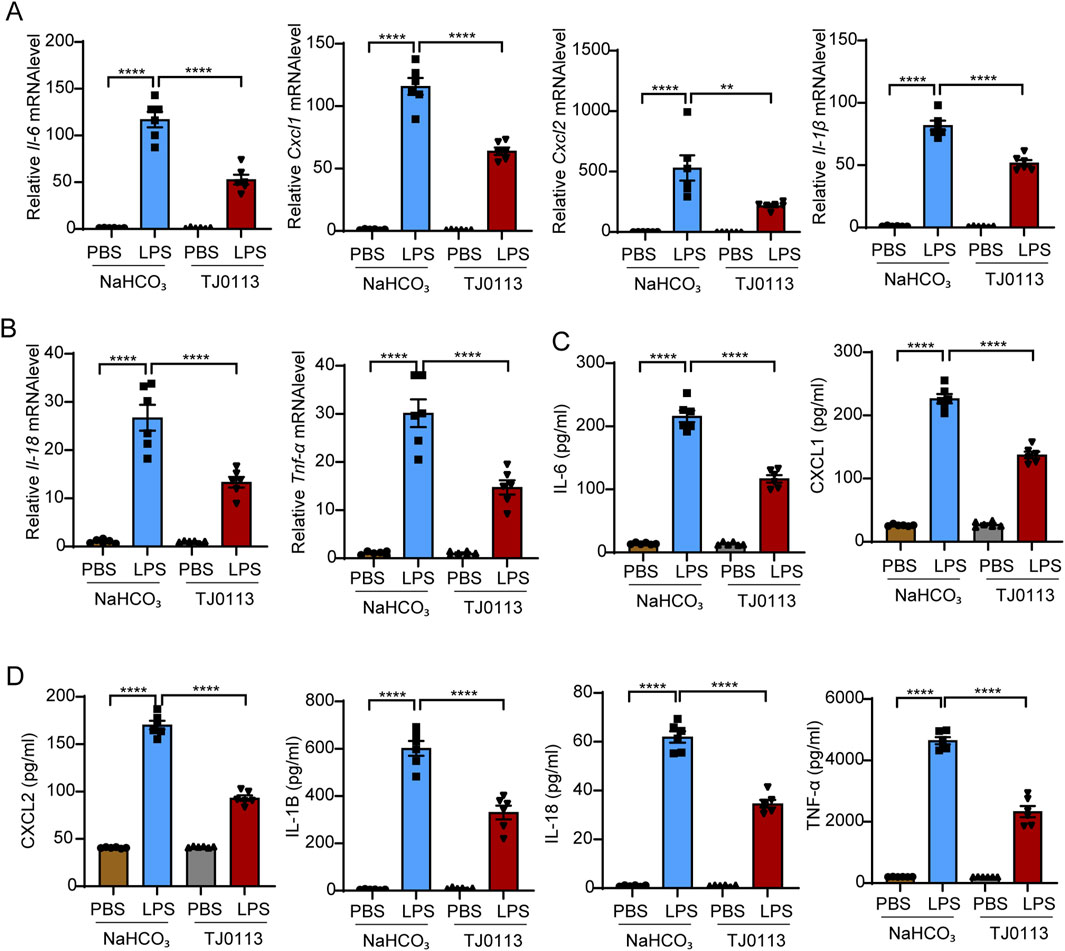 Bar graphs showing the effects of treatments on mRNA and protein levels. Treatments include PBS, LPS, sodium bicarbonate (NaHCO₃), and TJ0113. Graphs A and B display relative mRNA levels of IL6, Cxcl1, Cxcl2, IFN-β, IL-1β, and TNF-α. Graphs C and D show protein levels of IL-6, CXCL1, CXCL2, IL-1B, IL-18, and TNF-α in pg/mL. LPS treatment significantly increases all measured levels compared to other treatments. Statistical significance is indicated with asterisks.