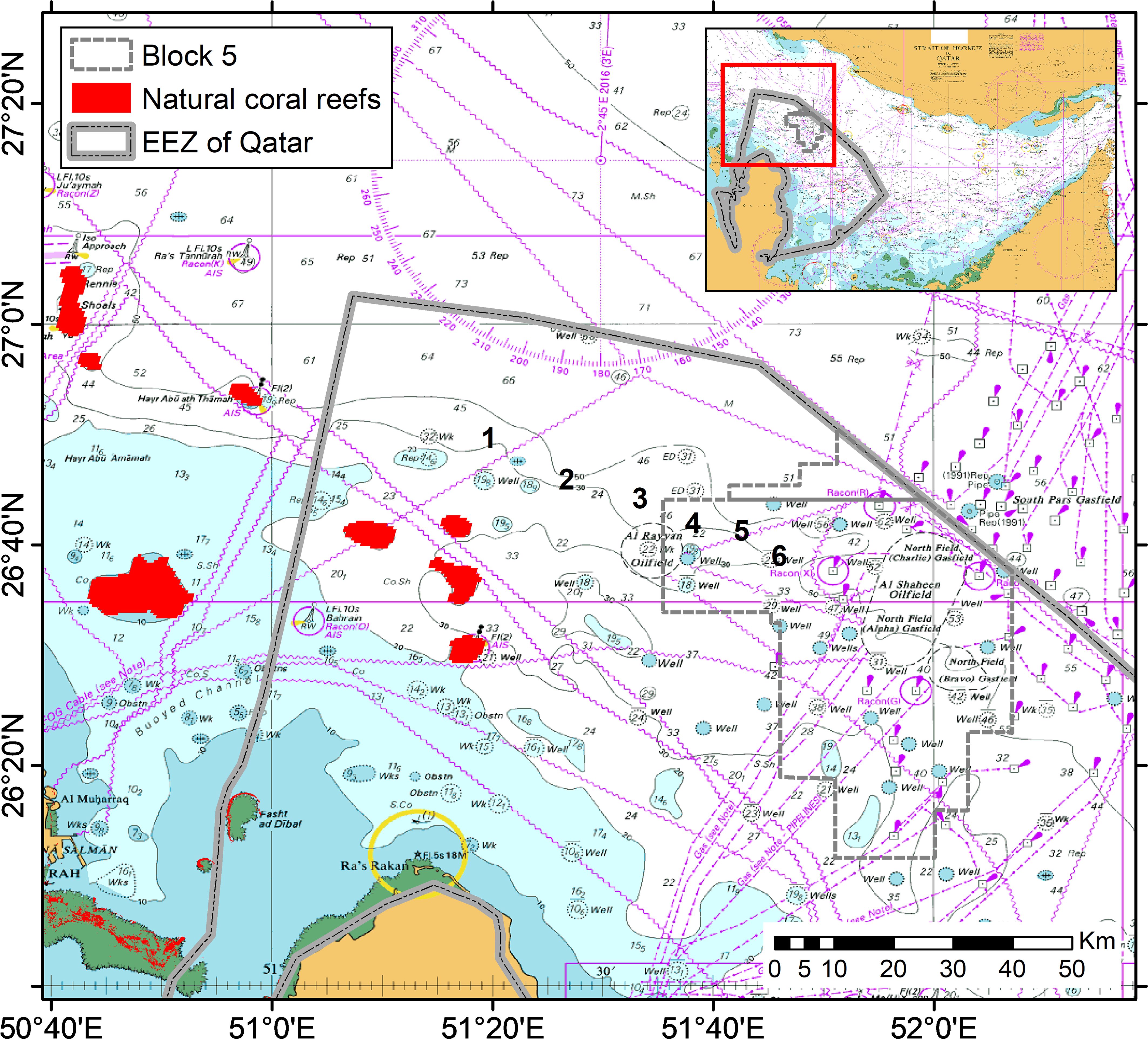 Map showing Block 5 and Qatar's Exclusive Economic Zone (EEZ) with natural coral reefs highlighted in red. It features oil fields, wells, and territorial borders marked. The inset displays a broader regional view.