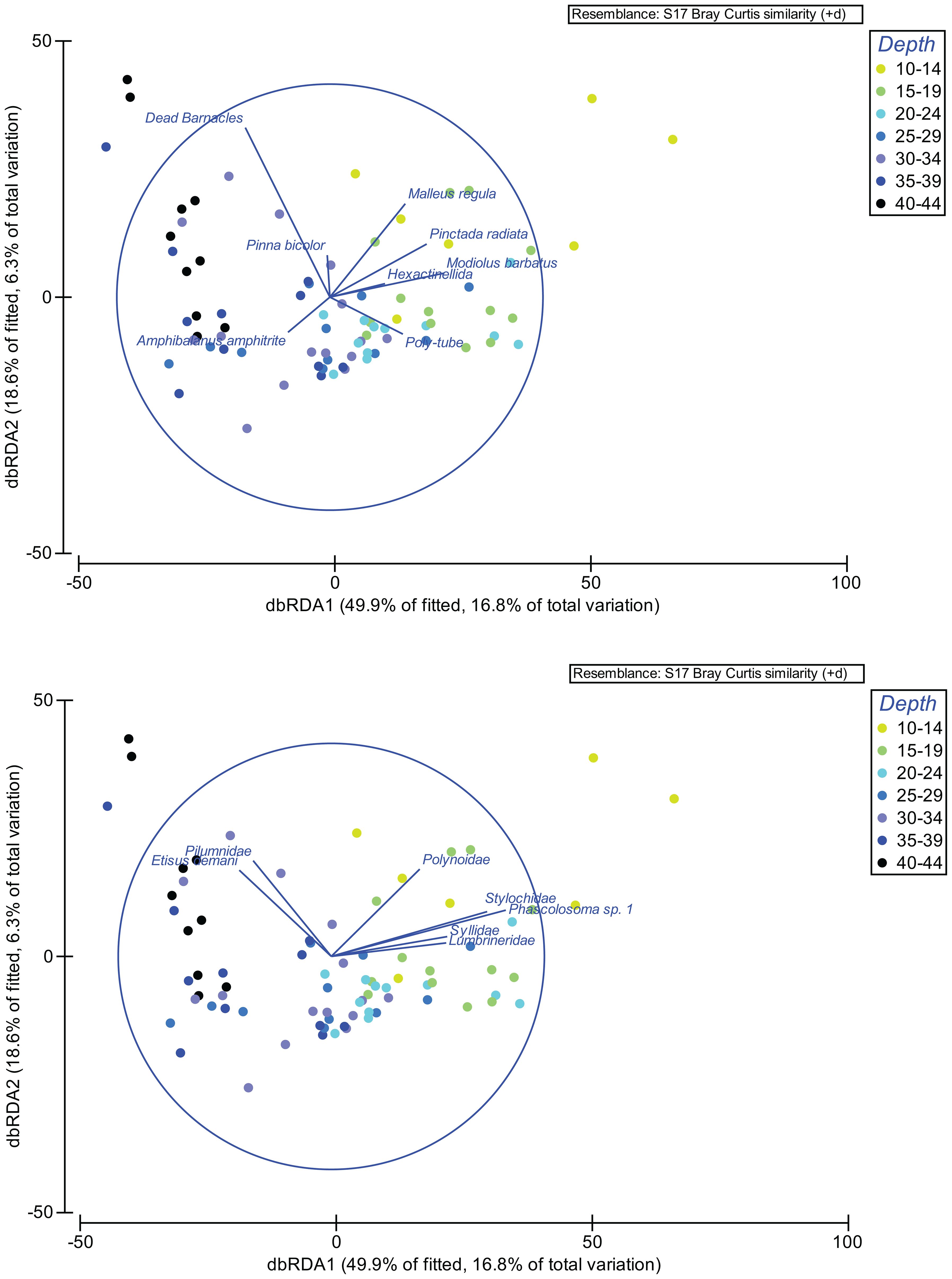 Two dbRDA plots illustrate the distribution of species by depth, indicated by colored dots. The top plot includes species like Amphibalanus amphitrite and Pinna bicolor. The bottom plot features species such as Pilumnidae and Polynoidae. Depth ranges, represented by the color gradient from yellow (shallow) to black (deep), are listed in the legend. Arrows suggest species correlations, with axes showing fitted and total variation percentages.