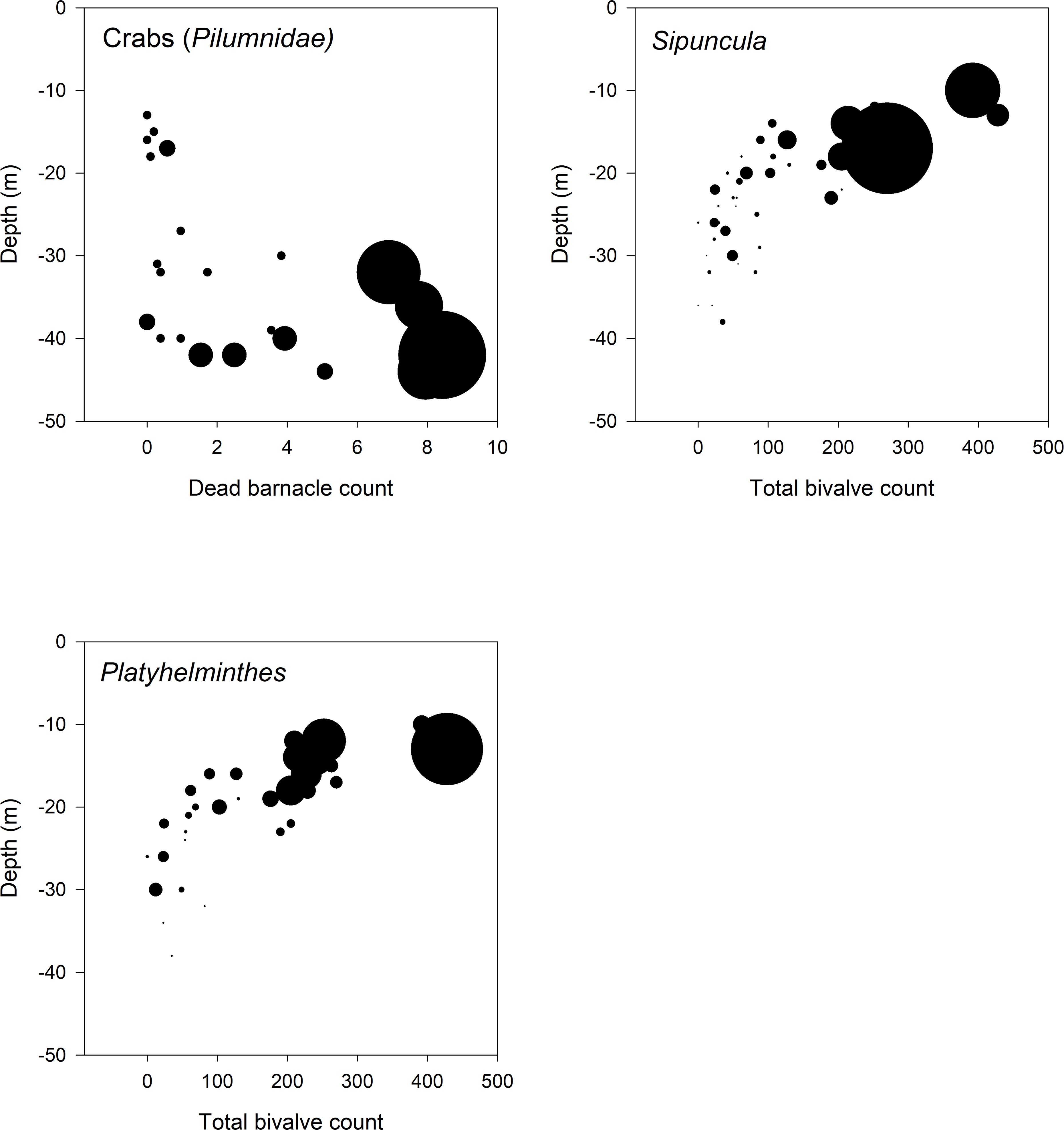 Three scatter plots show relationships between marine species and environmental factors. Top left: Crabs (Pilumnidae) and dead barnacle count vs. depth. Top right: Sipuncula and total bivalve count vs. depth. Bottom: Platyhelminthes and total bivalve count vs. depth. Each plot has depth on the y-axis and distinct counts on the x-axis, with bubble sizes indicating data points’ magnitude.