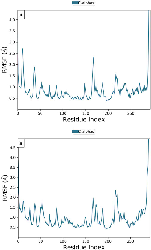 Two line graphs labeled A and B displaying the root mean square fluctuation (RMSF) in angstroms for C-alpha atoms against residue index from zero to two hundred fifty. Both graphs show fluctuations with peaks and valleys, with higher RMSF values observed at both ends of the residue index range. A legend indicates the data is for C-alphas.