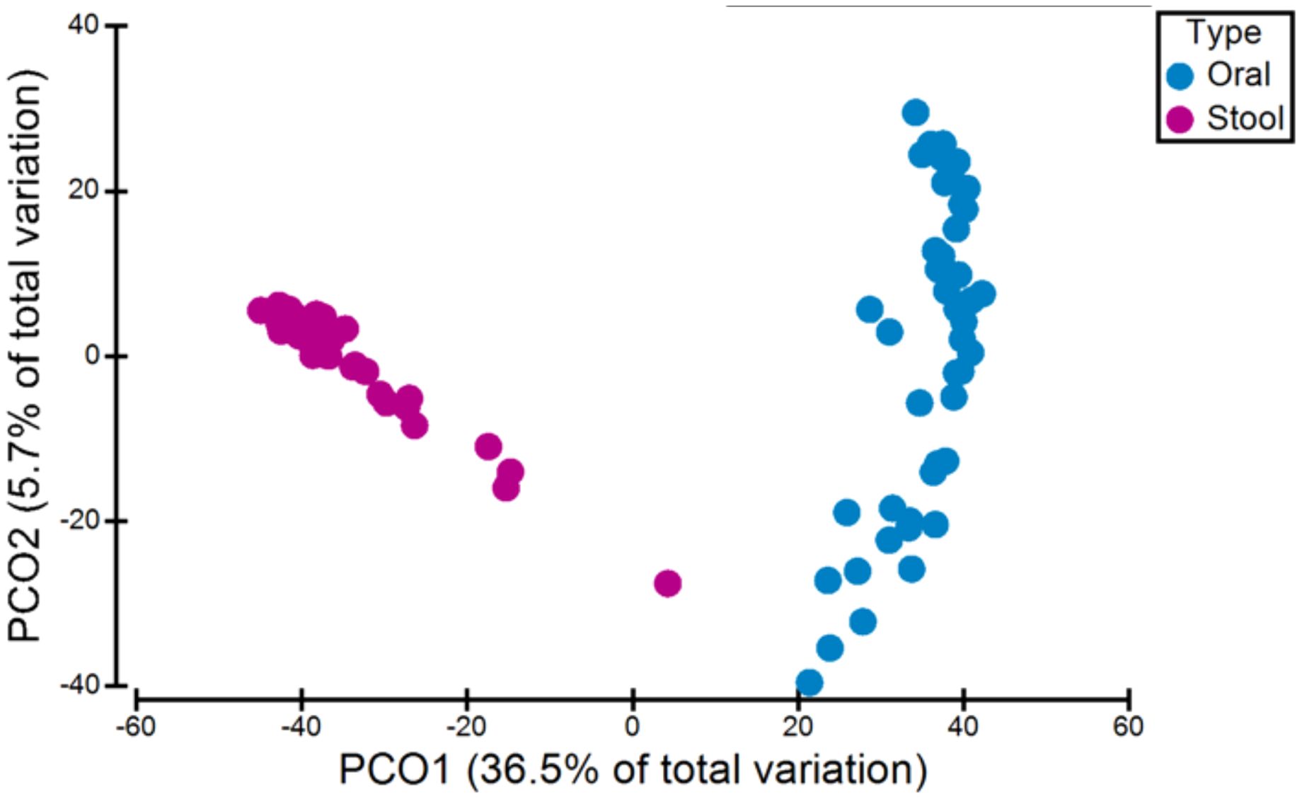 Scatter plot showing principal coordinate analysis with two axes labeled PCO1 (36.5% of total variation) and PCO2 (5.7% of total variation). Blue dots represent oral samples and magenta dots represent stool samples. Blue dots are clustered on the right, while magenta dots are clustered on the left.