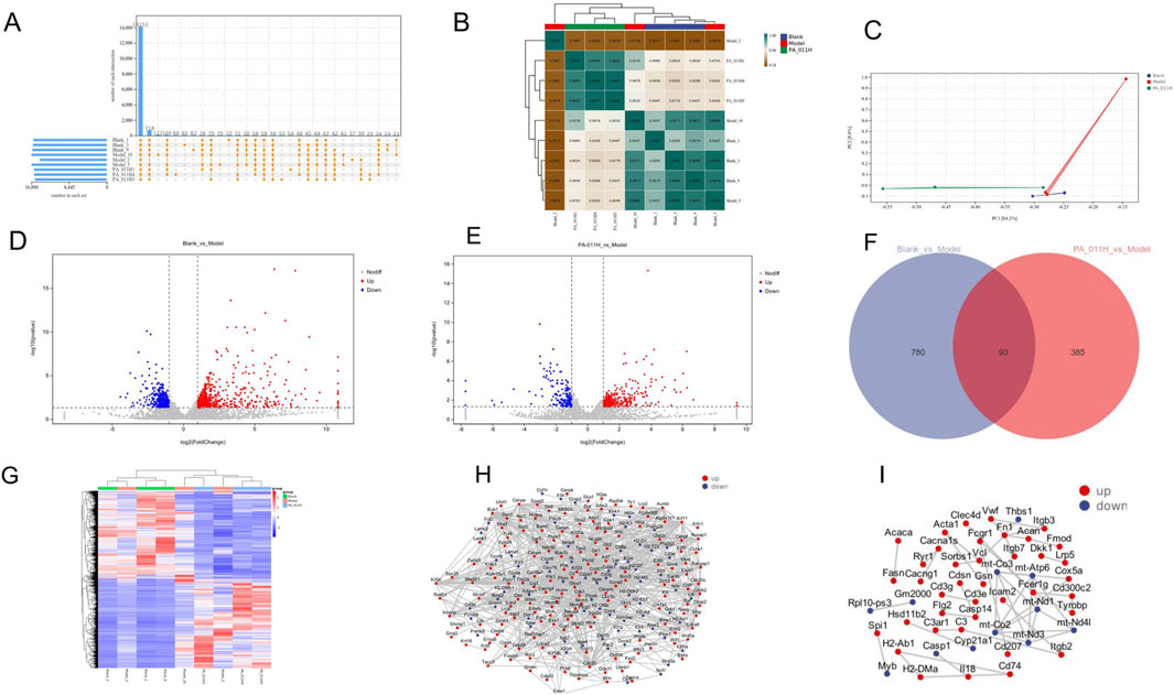 A grid of nine scientific charts and graphs labeled A through I. A: Upset plot showing intersection of data sets with bars and matrix layout. B: Heatmap with hierarchical clustering comparing samples. C: PCA plot displaying three groups with vectors. D and E: Volcano plots showing gene expression changes, with upregulated (red) and downregulated (blue) genes. F: Venn diagram illustrating overlap between two comparisons. G: Heatmap representing differential gene expression with color gradients. H and I: Network diagrams with nodes for upregulated (red) and downregulated (blue) genes, showing interactions.