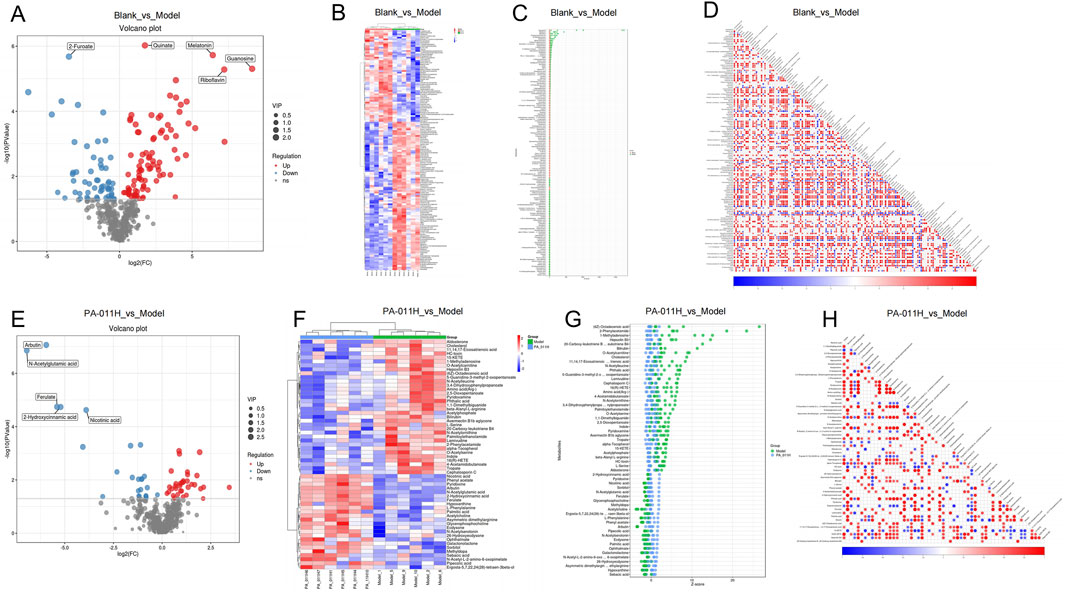 Panel of eight scientific plots illustrating differential metabolite analysis. A and E show volcano plots for Blank vs. Model and PA-011H vs. Model, highlighting significant metabolites. B and F present heatmaps, indicating metabolite expression differences. C and G display metabolite importance plots using VIP or Z scores. D and H feature correlation matrices showing relationships between metabolites. Various colors represent levels of expression and correlation.