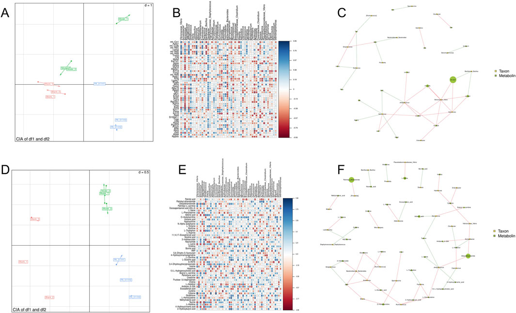 Panel A and D are correspondence analysis plots comparing datasets. Panel B and E show heatmaps of correlations between variables with a color gradient from blue to red. Panel C and F display network diagrams linking taxa and metabolites, with nodes indicating connections. Each network distinguishes between taxa and metabolite nodes.
