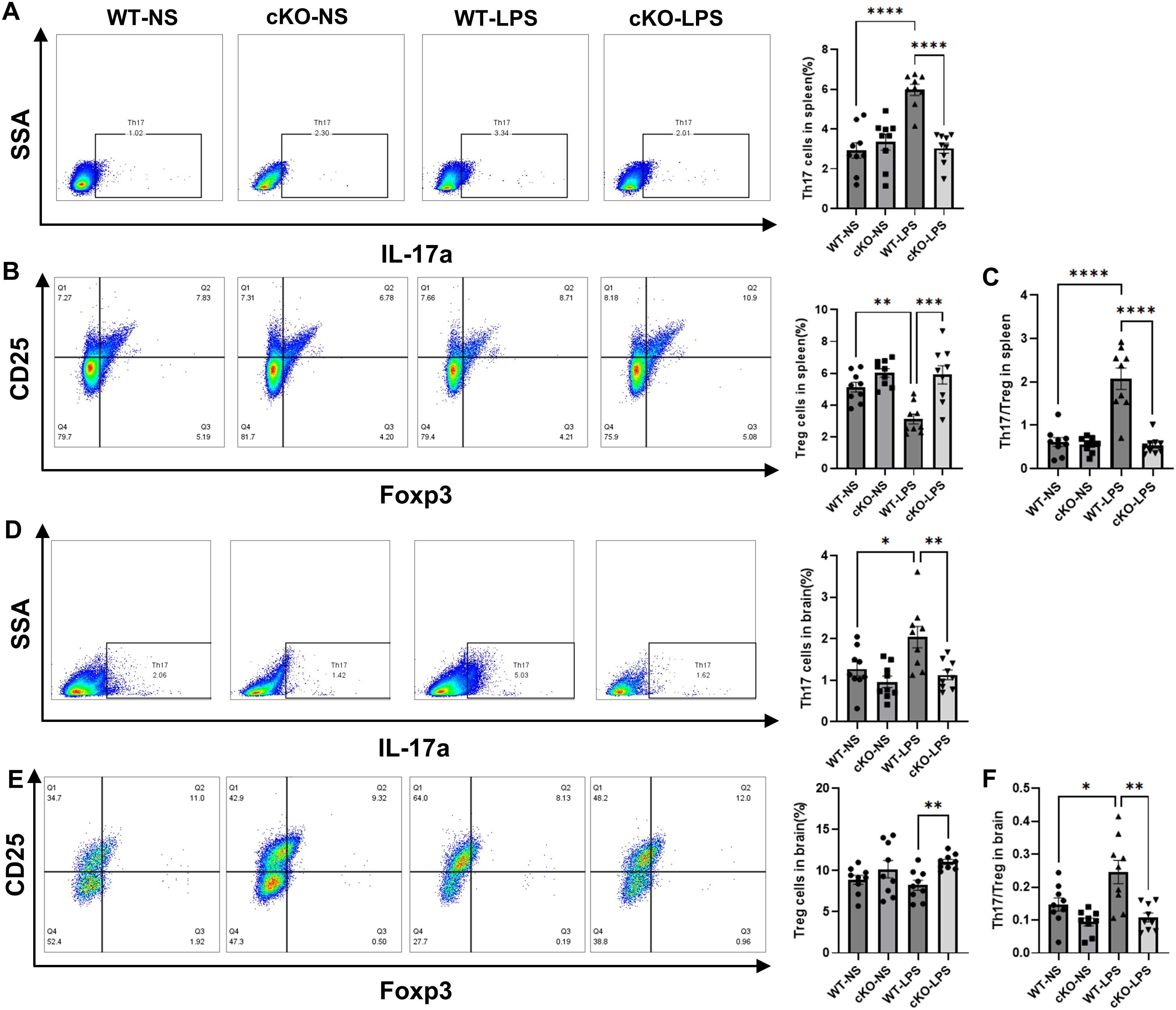 Flow cytometry analysis and graphs display Th17 and Treg cell percentages in spleen and brain under different conditions: WT-NS, cKO-NS, WT-LPS, and cKO-LPS. Panels A and D illustrate percentage of Th17 cells, while panels B and E show percentage of Treg cells. Panels C and F present bar graphs comparing Th17/Treg ratios. Statistical significance is indicated by asterisks.