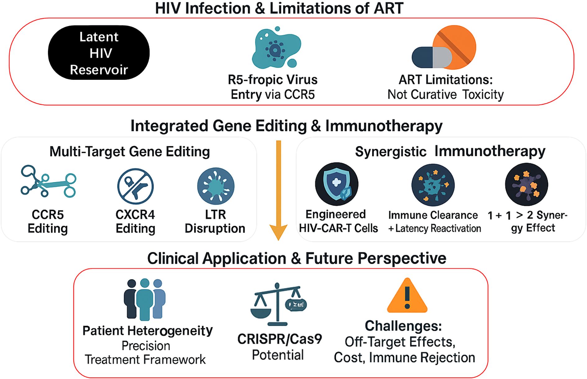 Flowchart illustrating HIV infection and limitations of ART, integrated gene editing and immunotherapy, and future perspectives. Top section shows latent HIV reservoir, virus entry via CCR5, and ART limitations. Middle section highlights multi-target gene editing including CCR5, CXCR4 editing, and LTR disruption, alongside synergistic immunotherapy involving engineered HIV-CAR-T cells and immune clearance. Bottom section discusses clinical applications, highlighting patient heterogeneity, CRISPR/Cas9 potential, and challenges like off-target effects and immune rejection.