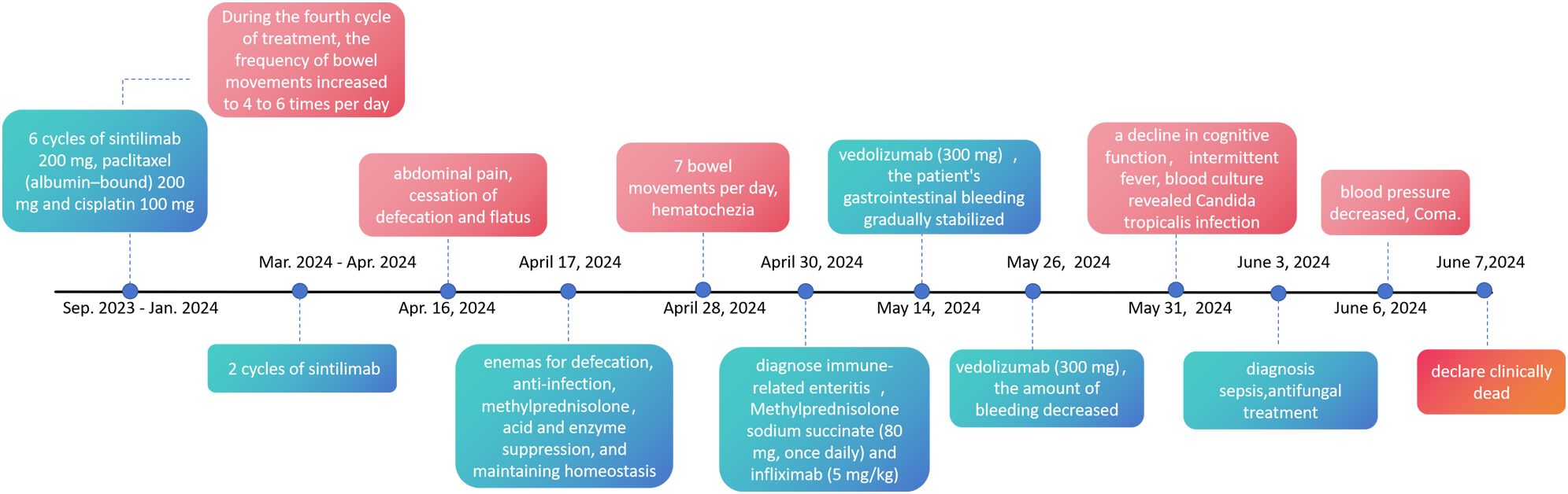 Timeline detailing a medical treatment progression from September 2023 to June 2024. It includes cycles of sintilimab, paclitaxel, and cisplatin, with symptoms like increased bowel movements, abdominal pain, hematochezia, cognitive decline, and coma. Vedolizumab treatment appears alongside symptoms stabilization. Key events include diagnosis of immune-related enteritis, sepsis, and Candida infection, concluding with clinical death declaration.