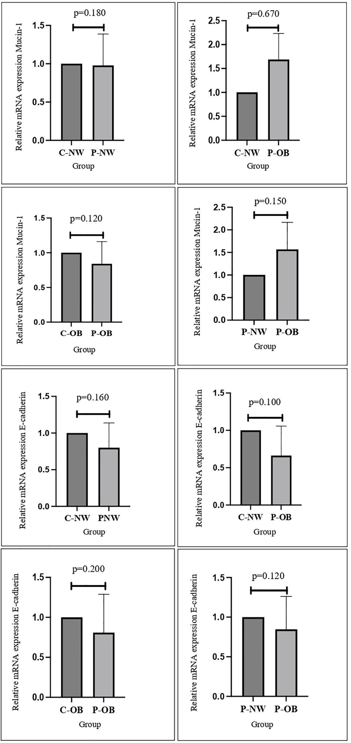 Eight bar charts comparing relative mRNA expression levels of Mucin-1 and E-Cadherin across different groups: C-NW, P-NW, C-OB, and P-OB. Each chart displays the mean, standard deviations, and p-values indicating statistical significance.