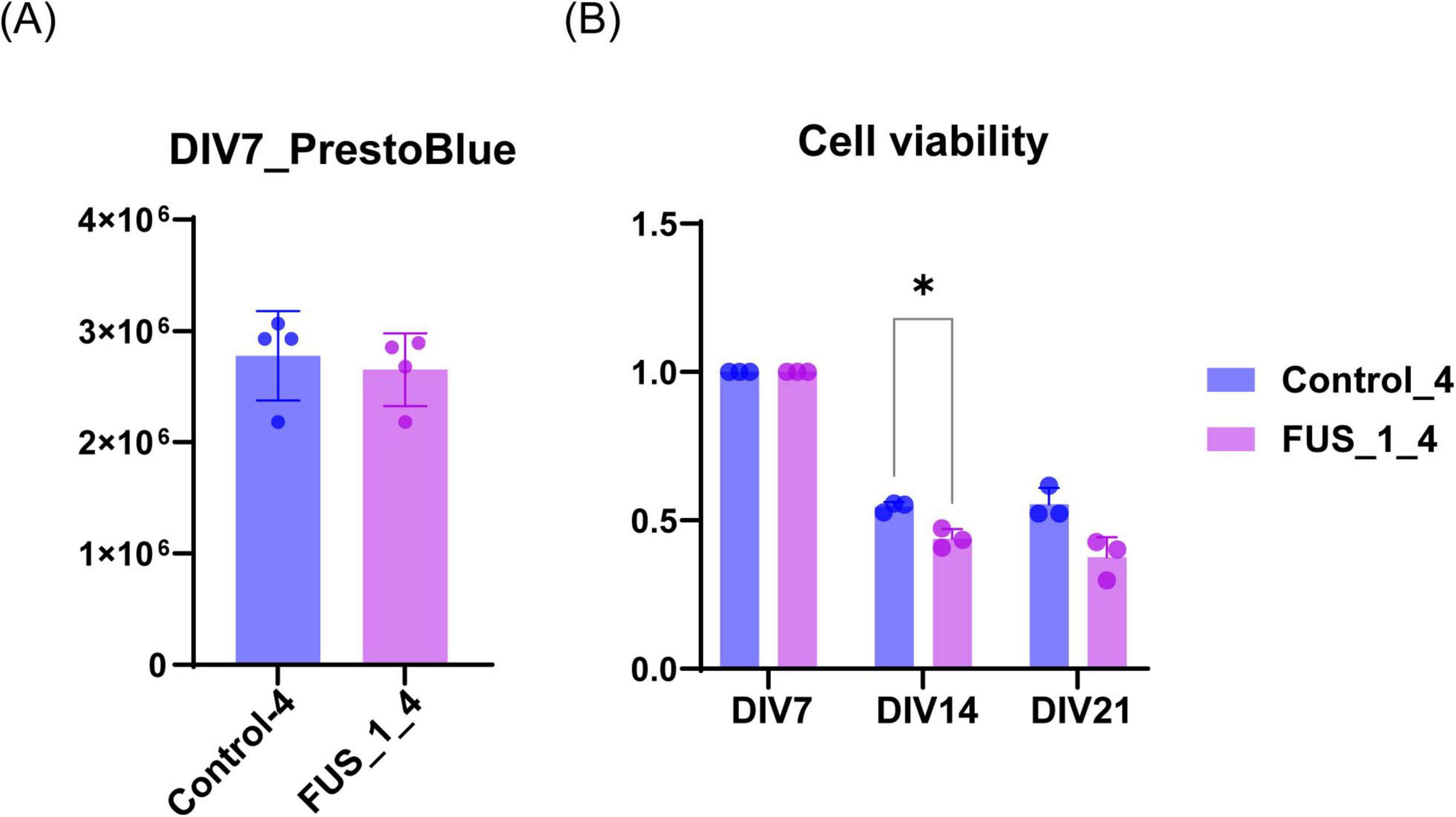 Graph (A) shows a bar chart comparing PrestoBlue assay readings for Control_4 and FUS_1_4 groups at DIV7, with similar values around three times ten to the sixth. Graph (B) displays cell viability data at DIV7, DIV14, and DIV21 for the same groups. Control_4 shows higher viability at DIV14, marked with an asterisk indicating significance, while other time points show similar results between groups. Control_4 is blue, and FUS_1_4 is purple.