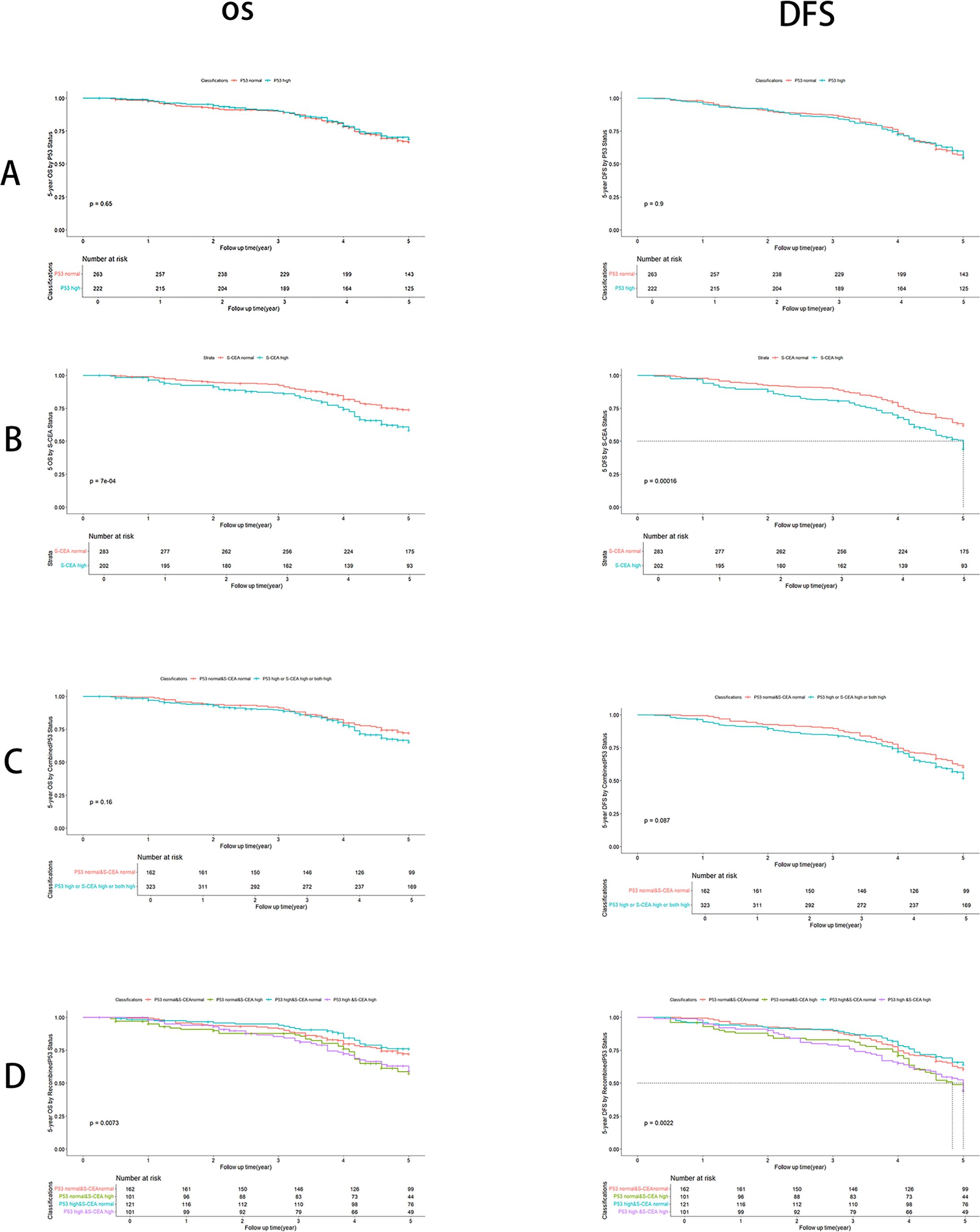 Eight Kaplan-Meier Survival plots are shown. Plots A, B, C and D (Left) are under OS (Overall Survival) while Right are DFS (Disease-Free Survival). Each plot compares survival probabilities over time with different gene expression levels. The curves are differentiated by color, indicating groups, with accompanying p-values and the number at risk tables below each graph. Plot A shows a p-value of 0.65, B shows 0.62, C shows 0.16, and D shows 0.073 for OS. For DFS, plot A shows a p-value of 0.9, B shows 0.00046, C shows 0.087, and D shows 0.0022.